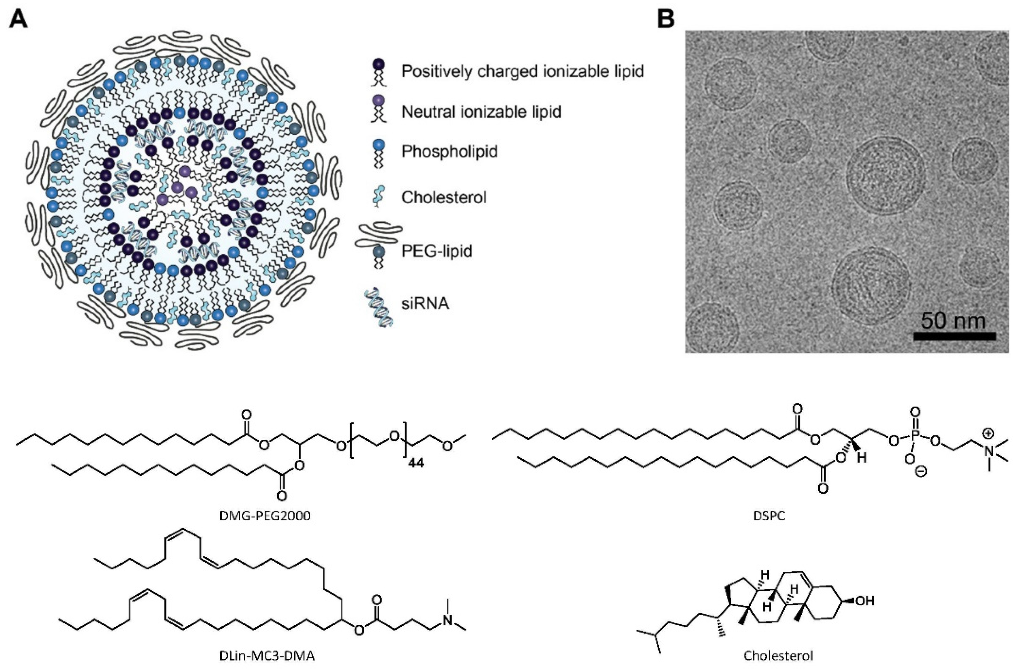 Applsci 11 10345 g029