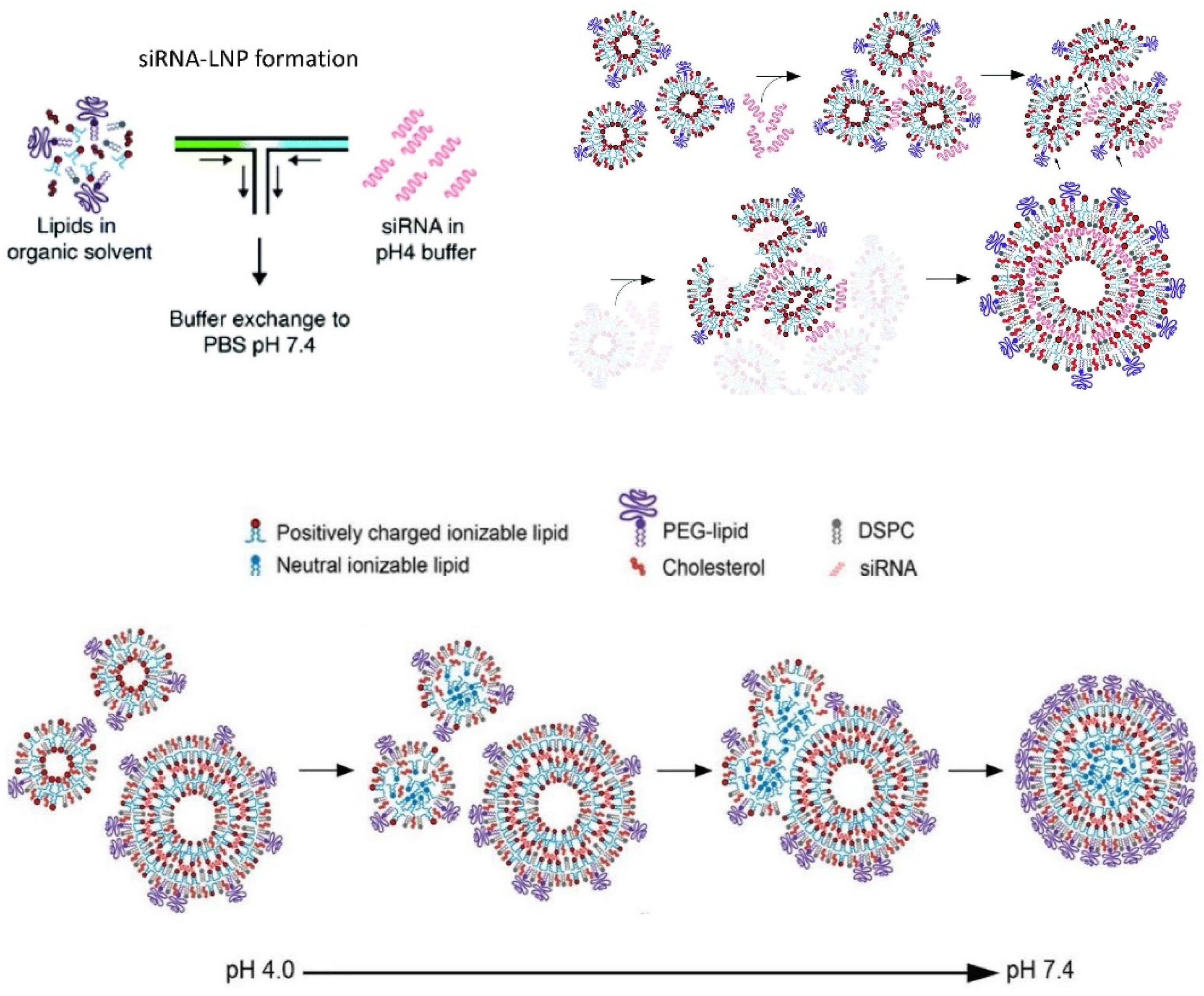 Applsci 11 10345 g030