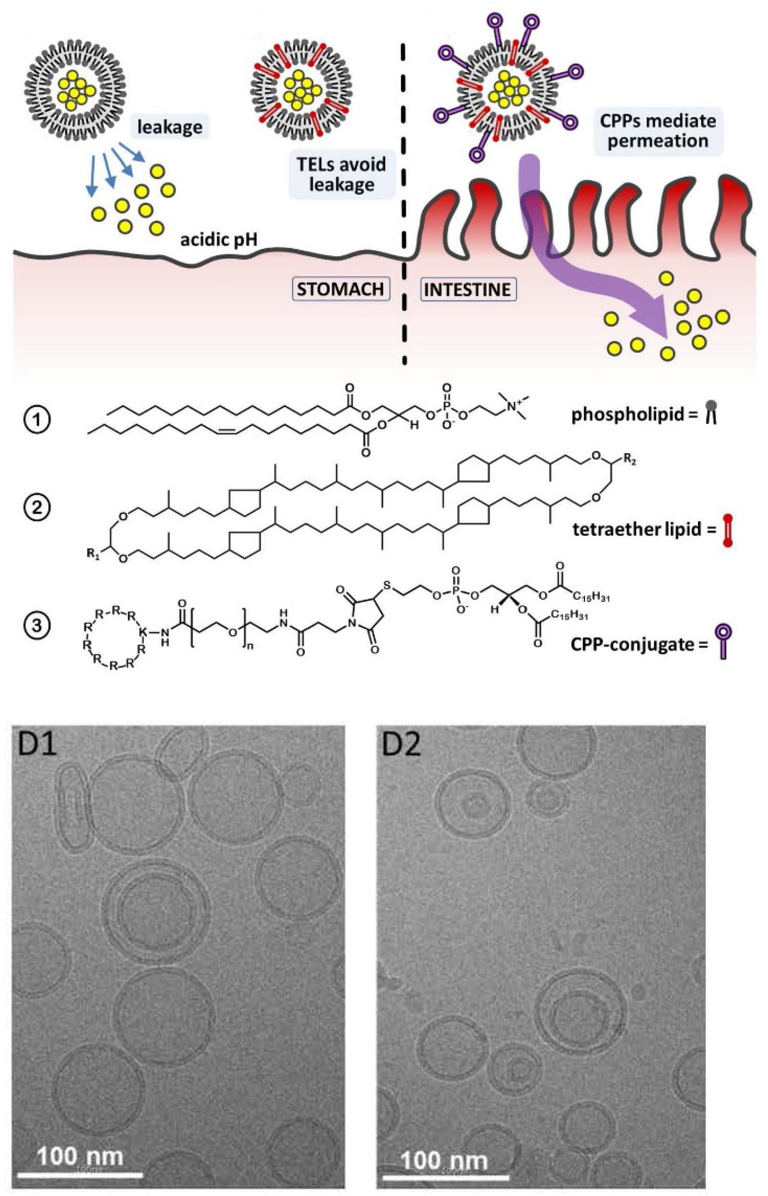 Applsci 11 10345 g032