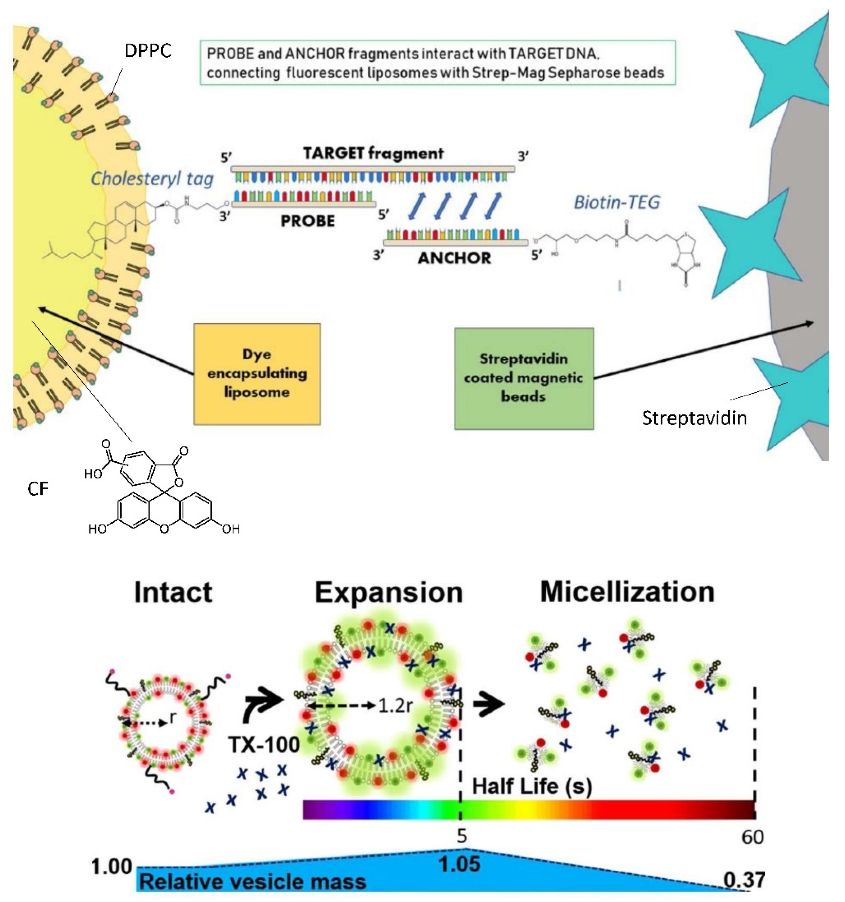 Applsci 11 10345 g033