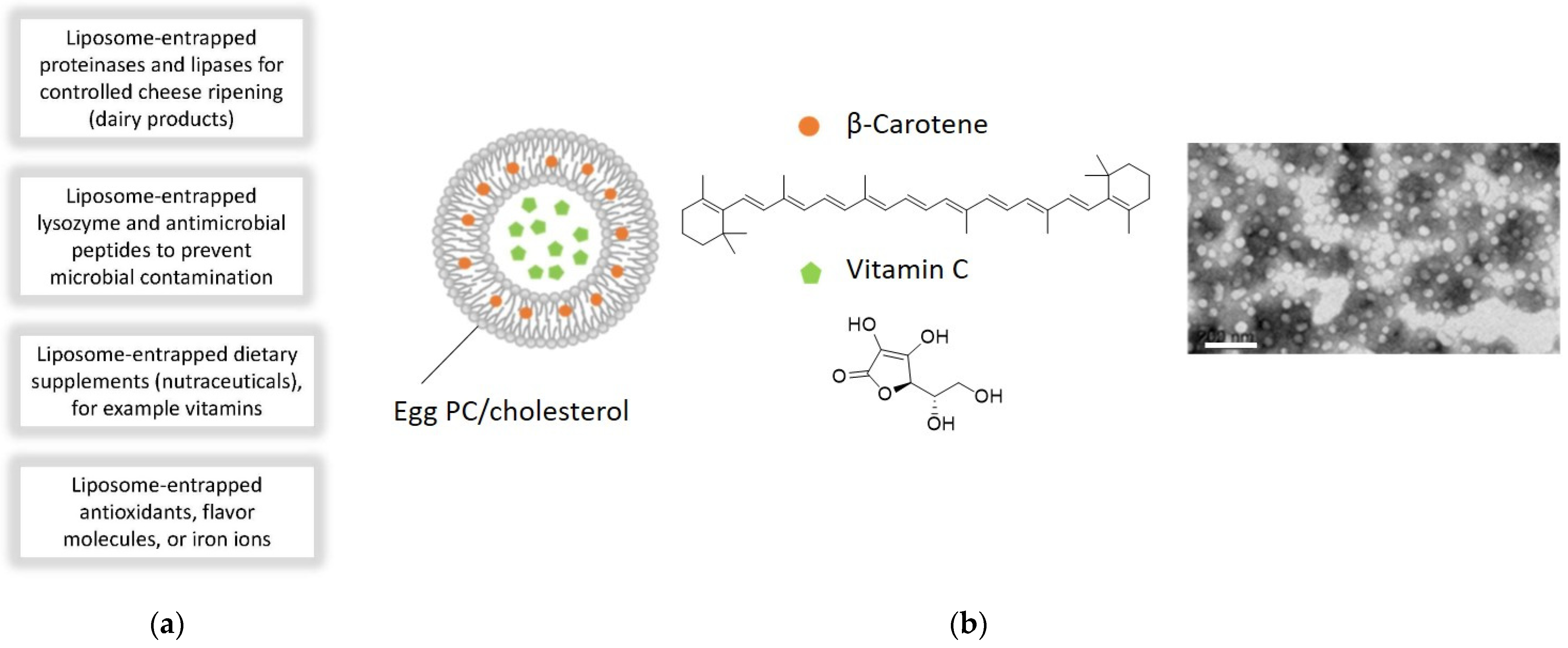 Applsci 11 10345 g036