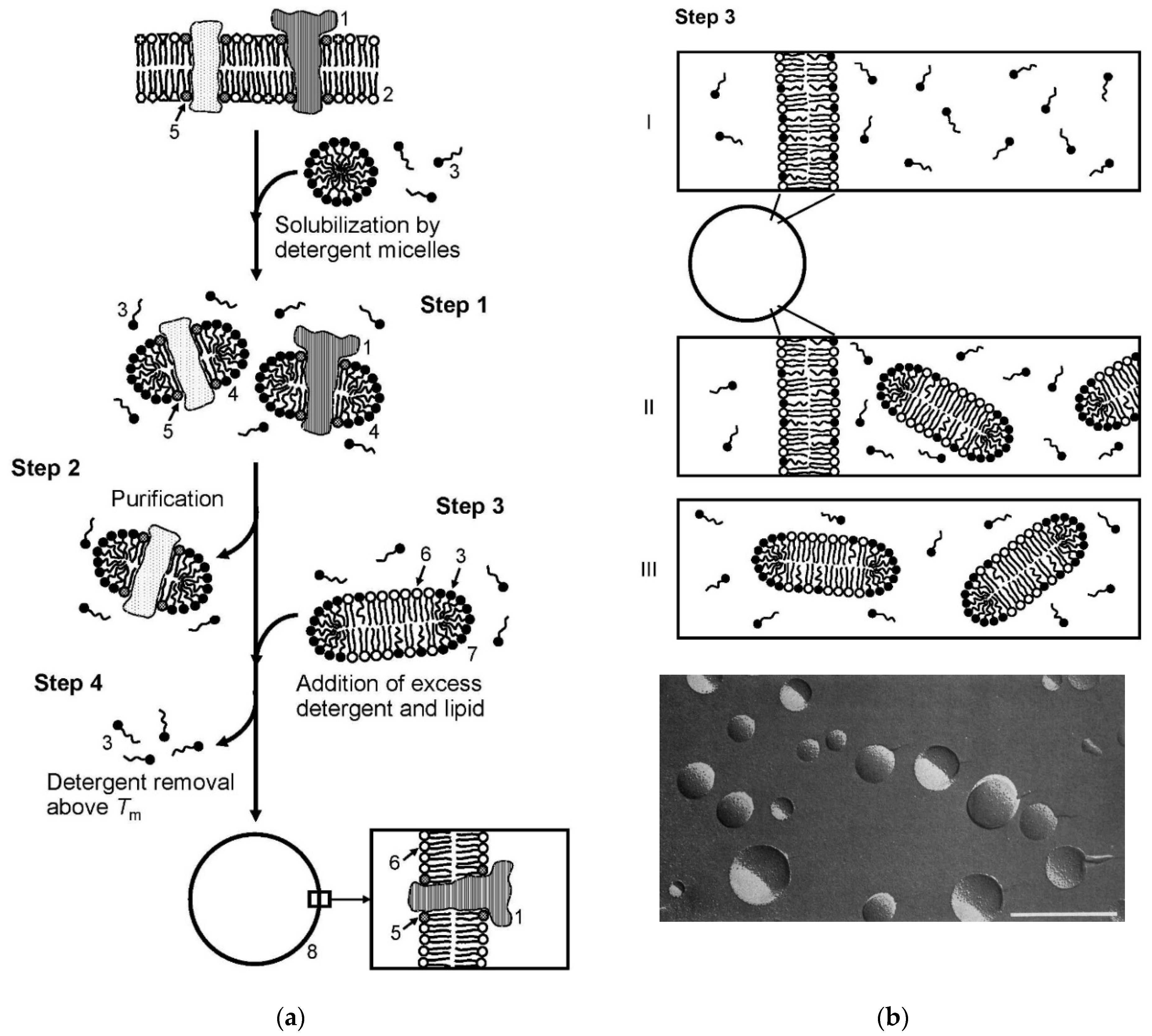 Applsci 11 10345 g038
