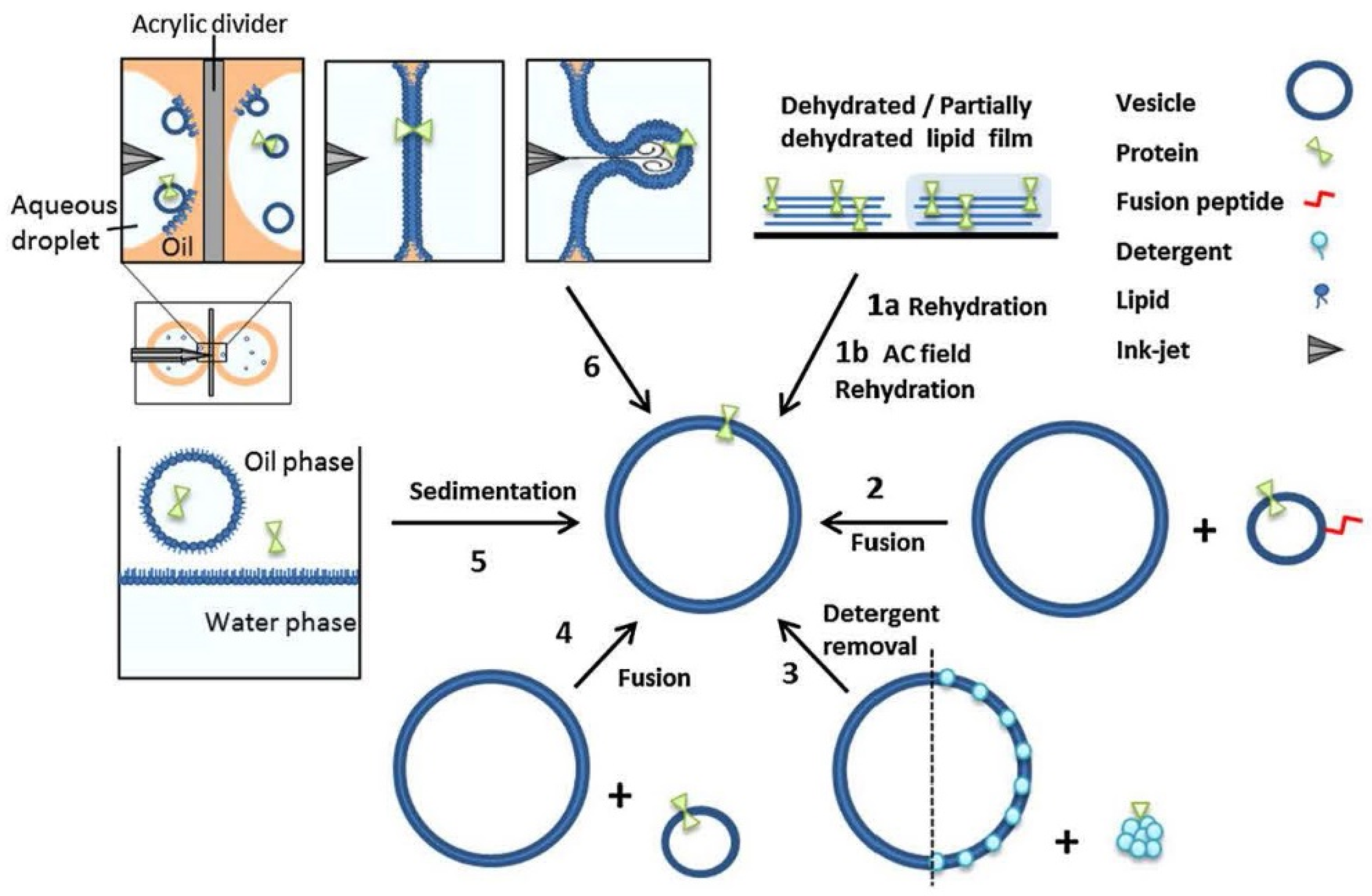 Applsci 11 10345 g039