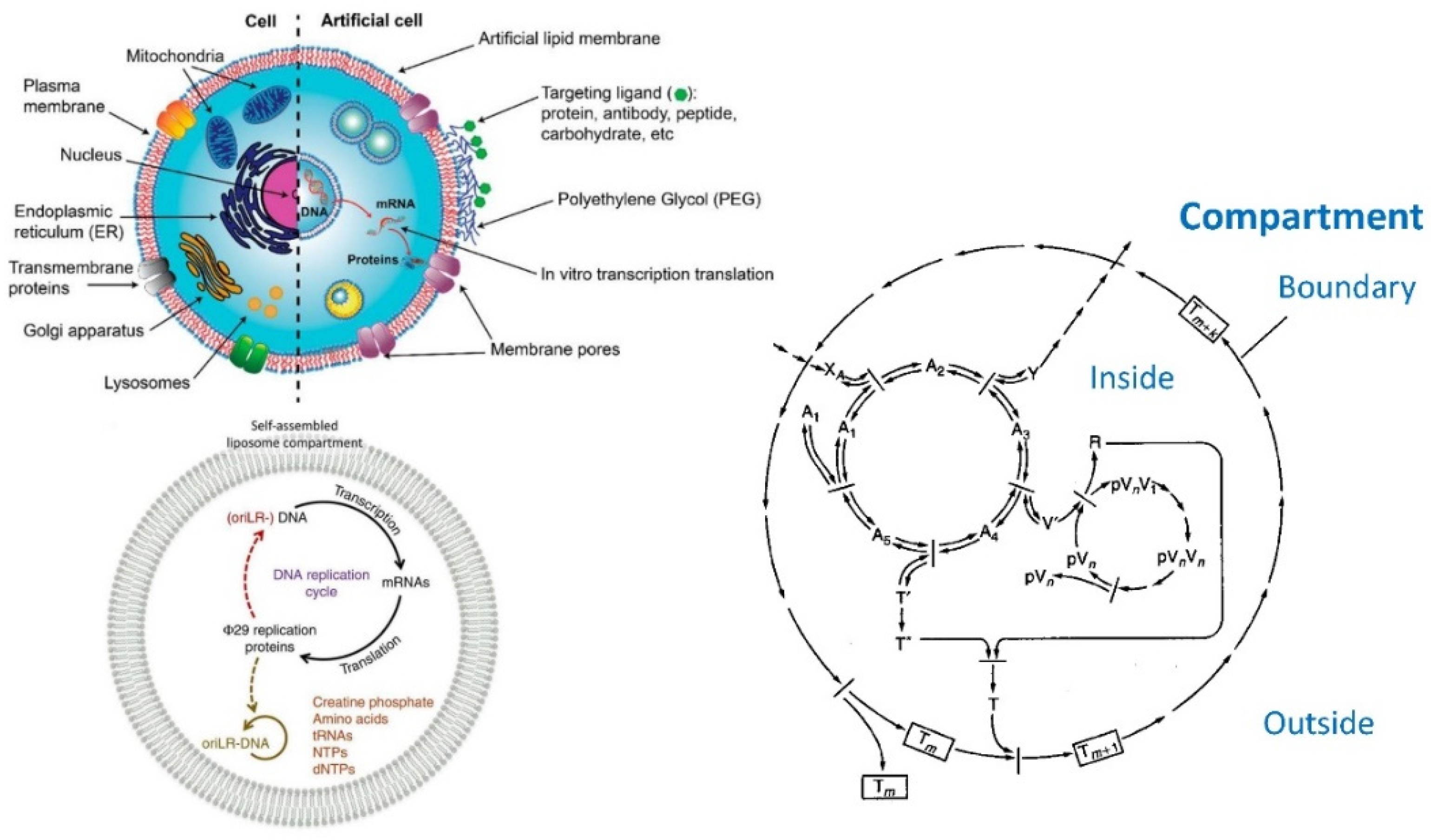 Applsci 11 10345 g041