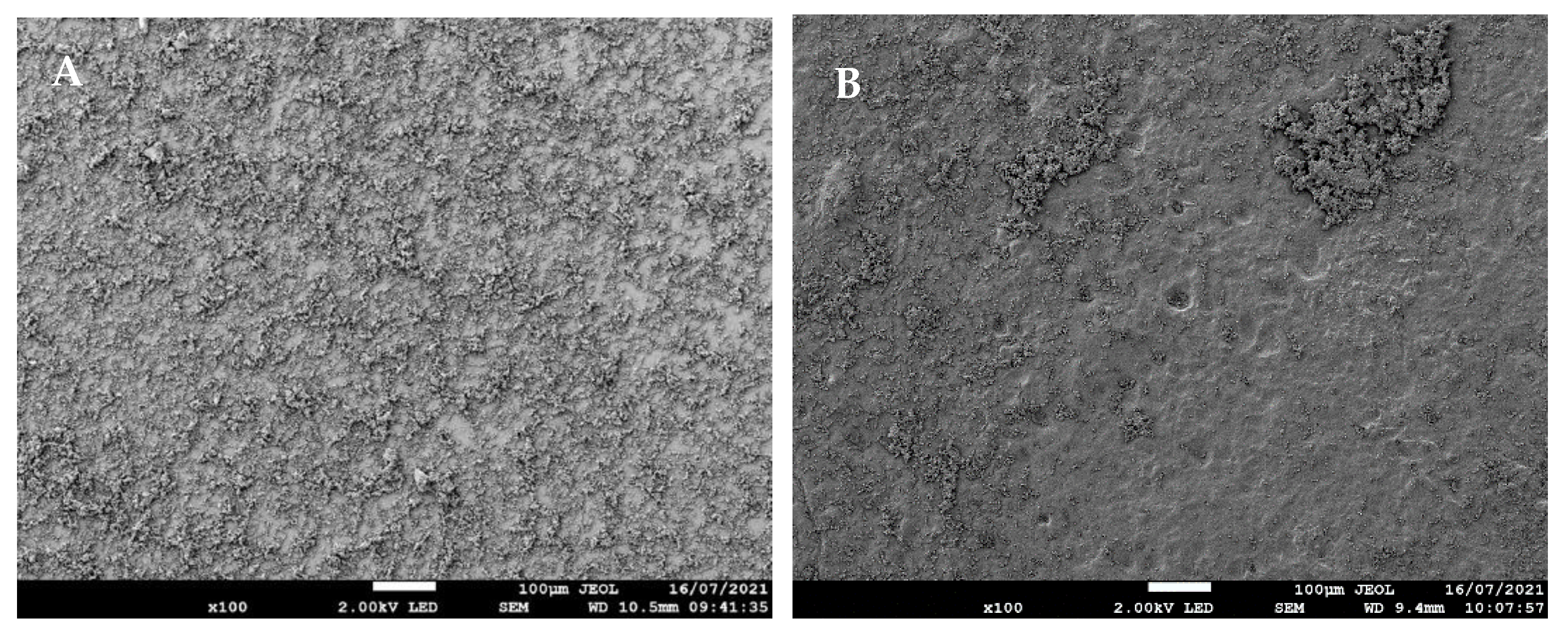 Applsci 11 10367 g003a