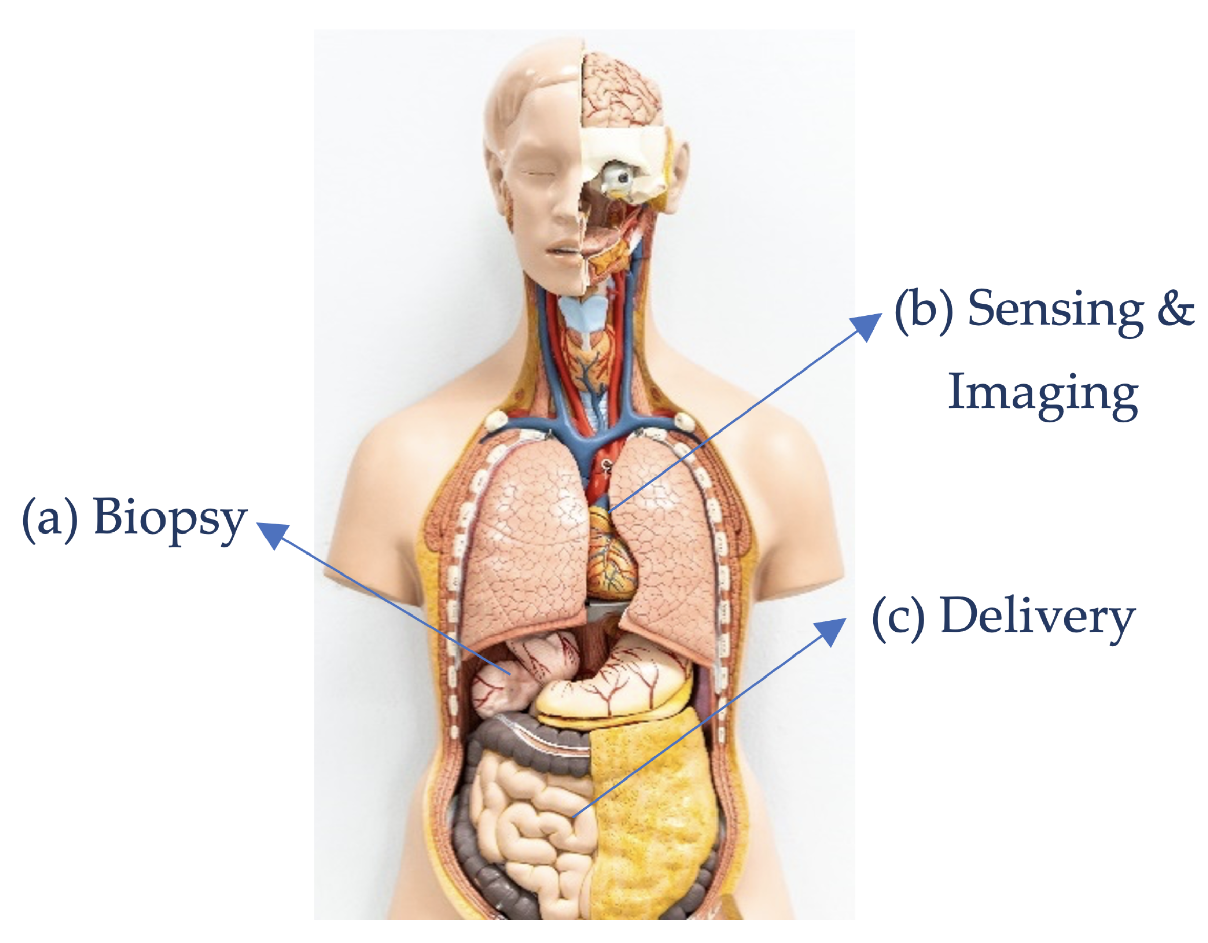 Applsci 11 10385 g006