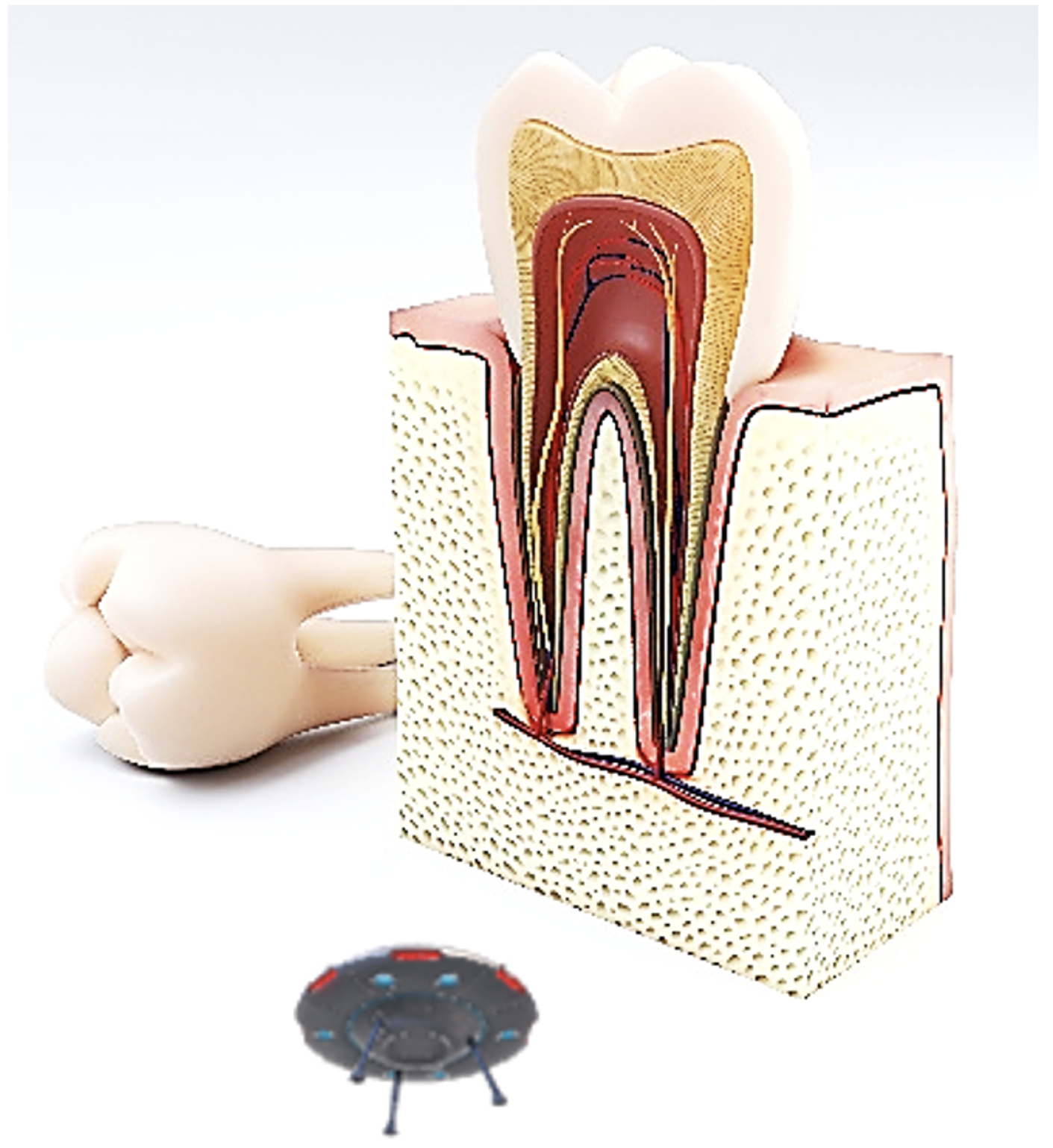 Applsci 11 10385 g007