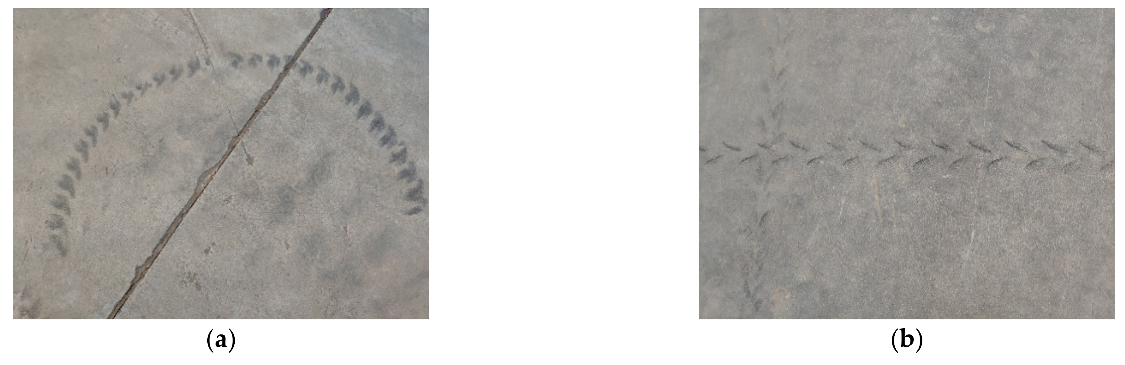 Applsci 11 10391 g011