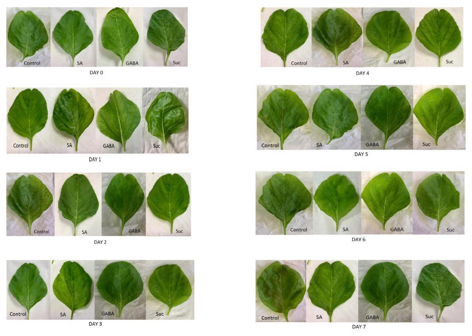 Applsci 11 10410 g004