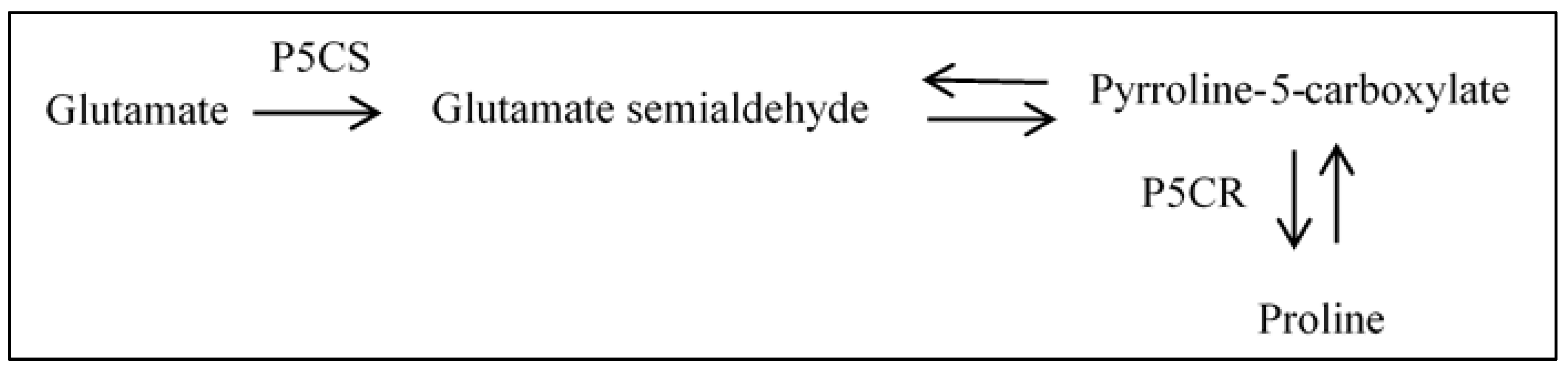 Applsci 11 10410 g005