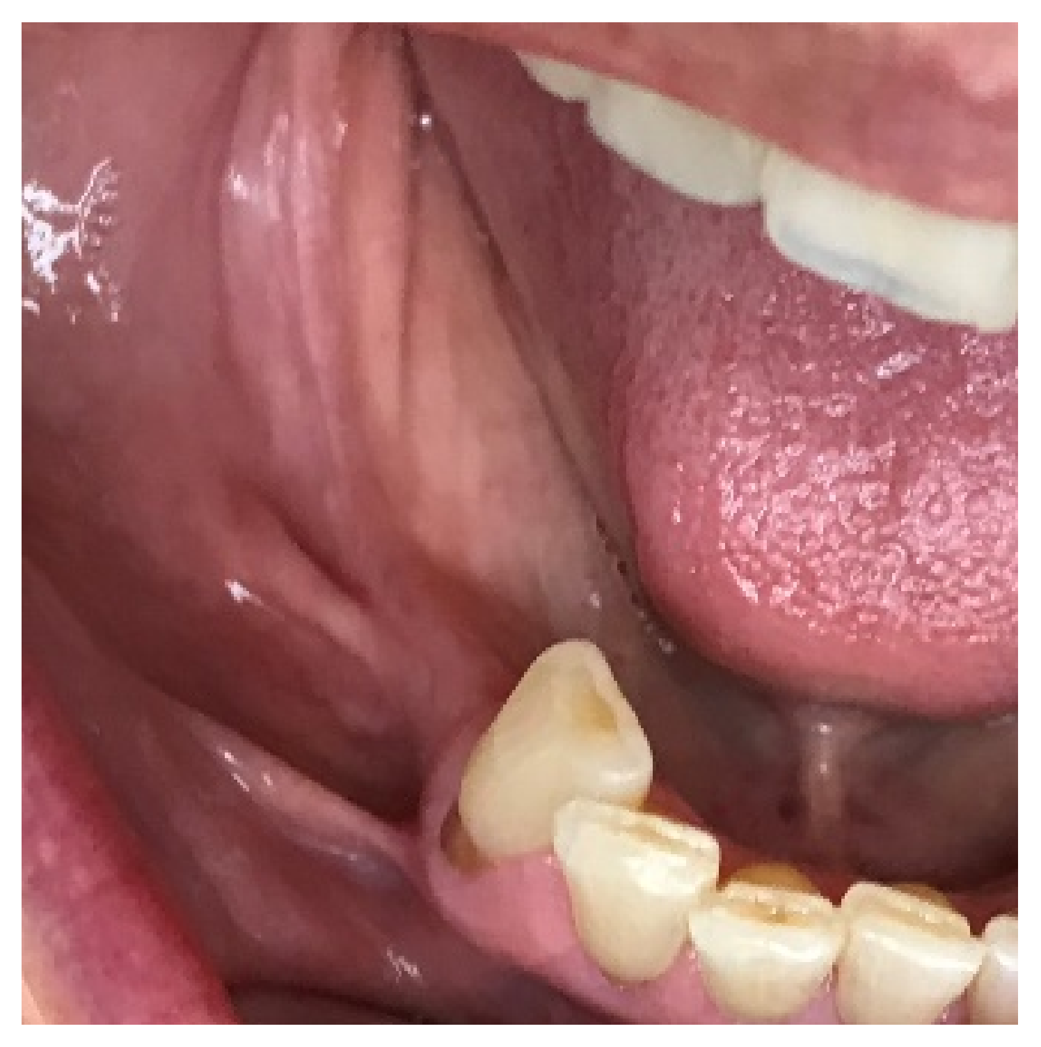 Applsci 11 10413 g001