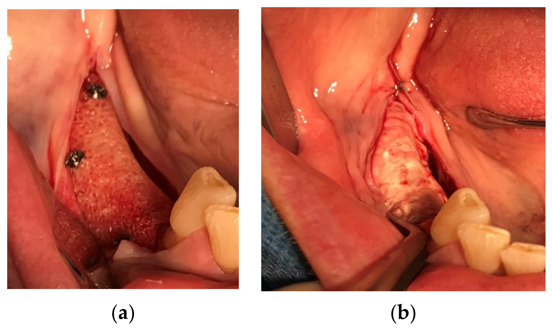 Applsci 11 10413 g007