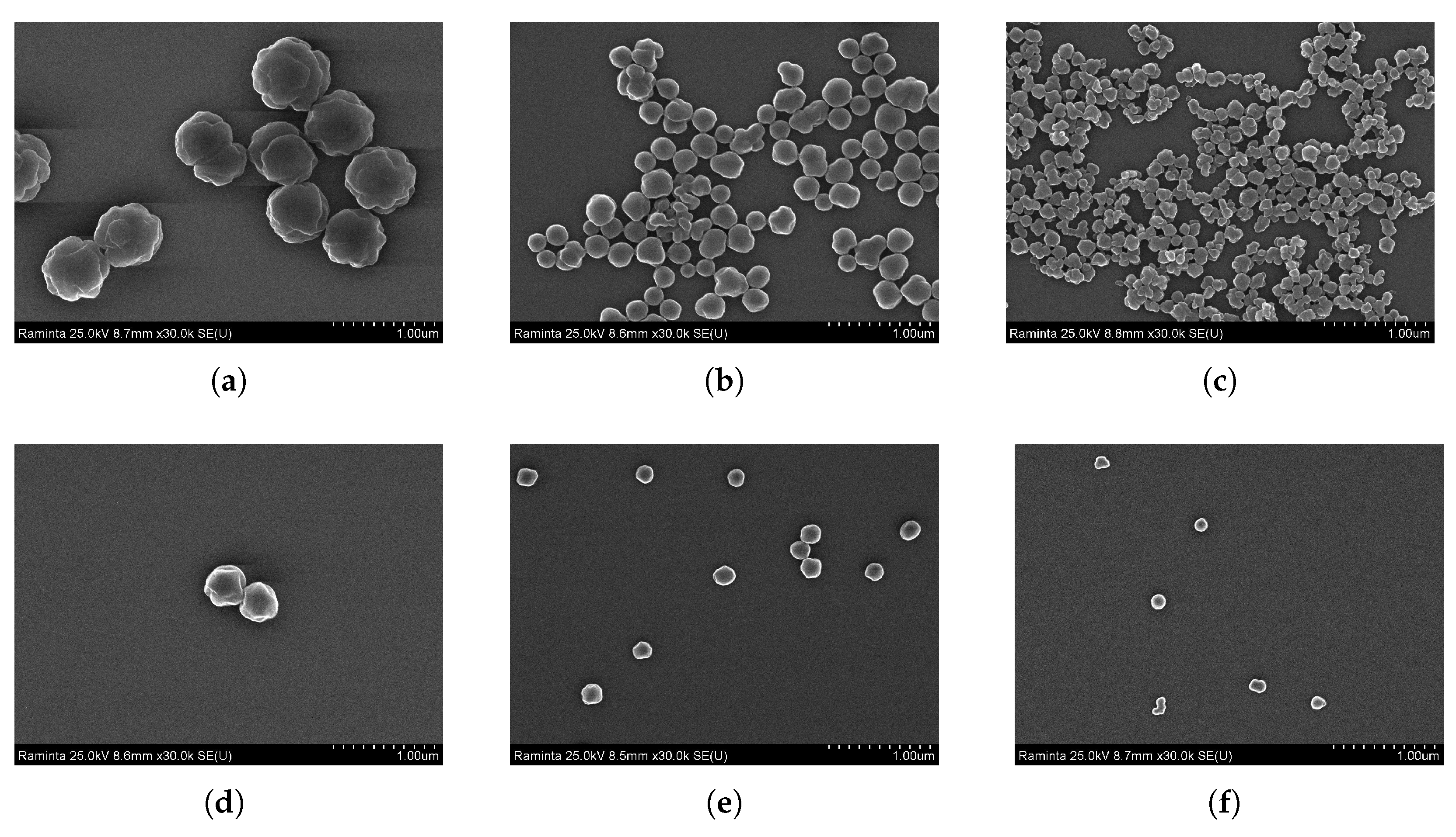 Applsci 11 10421 g005