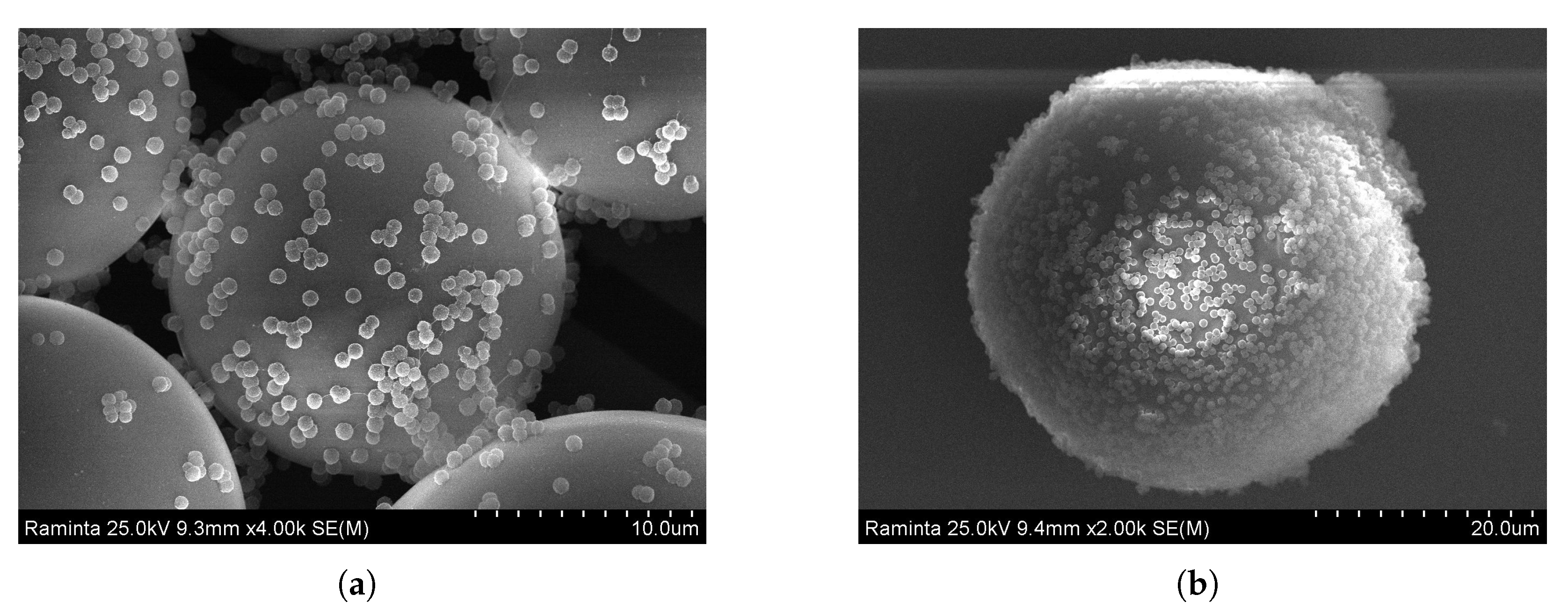 Applsci 11 10421 g008