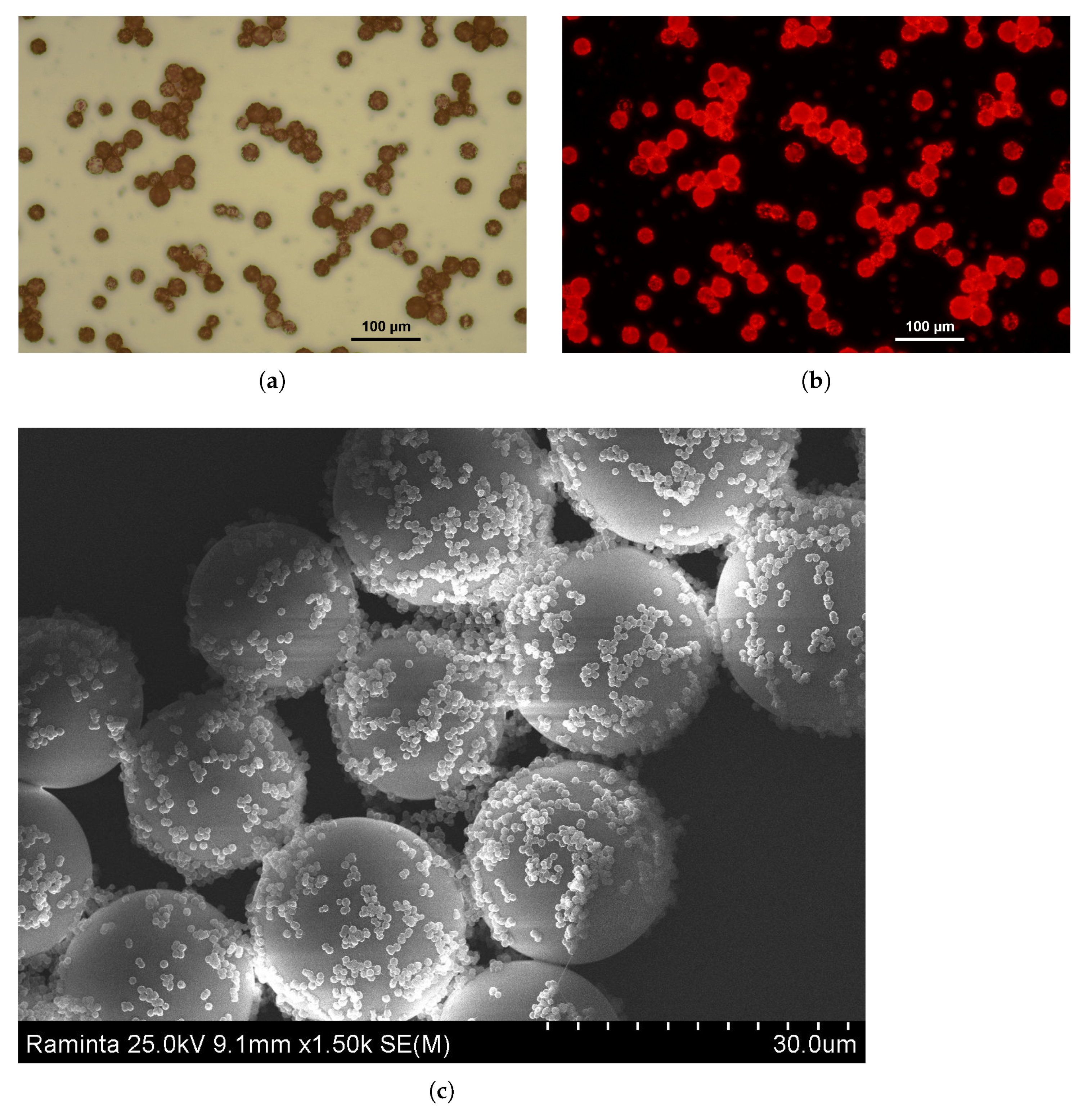 Applsci 11 10421 g009