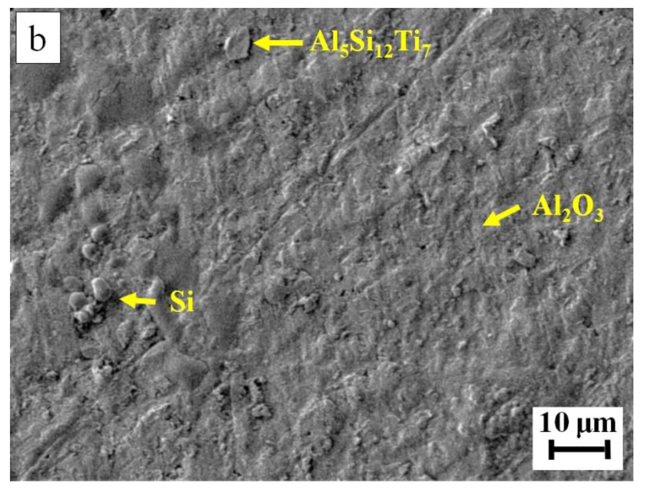 Applsci 11 10440 g012b