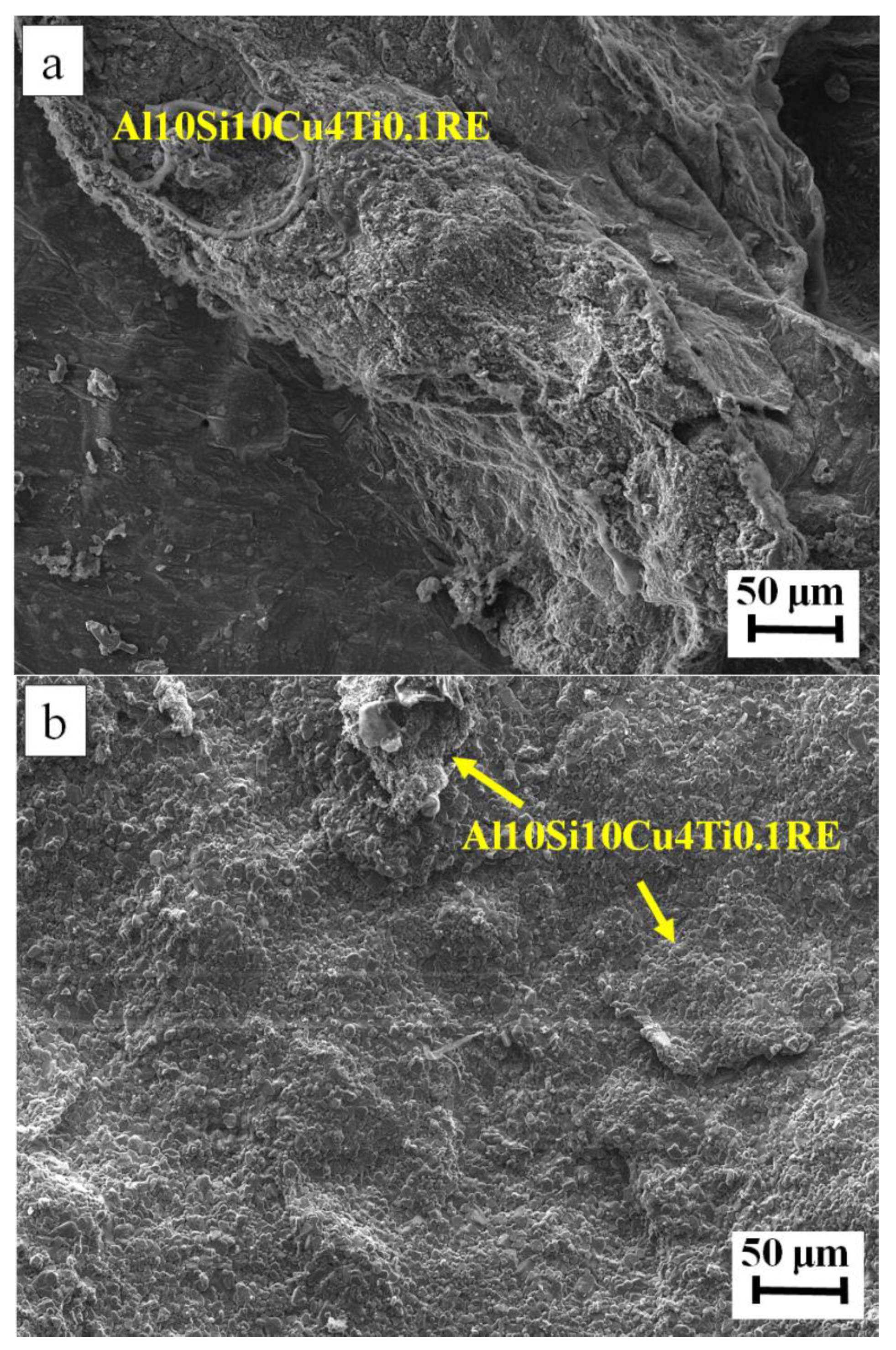 Applsci 11 10440 g013