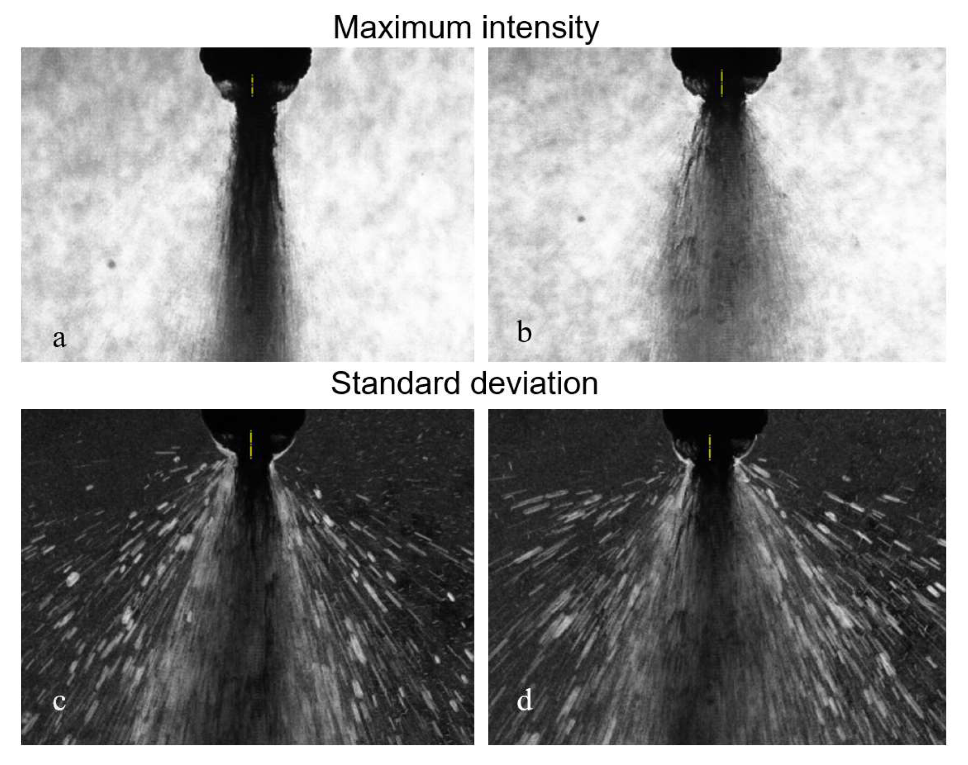 Applsci 11 10444 g013