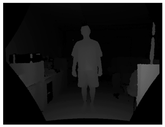 Applsci 11 10463 i009