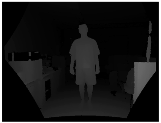 Applsci 11 10463 i010