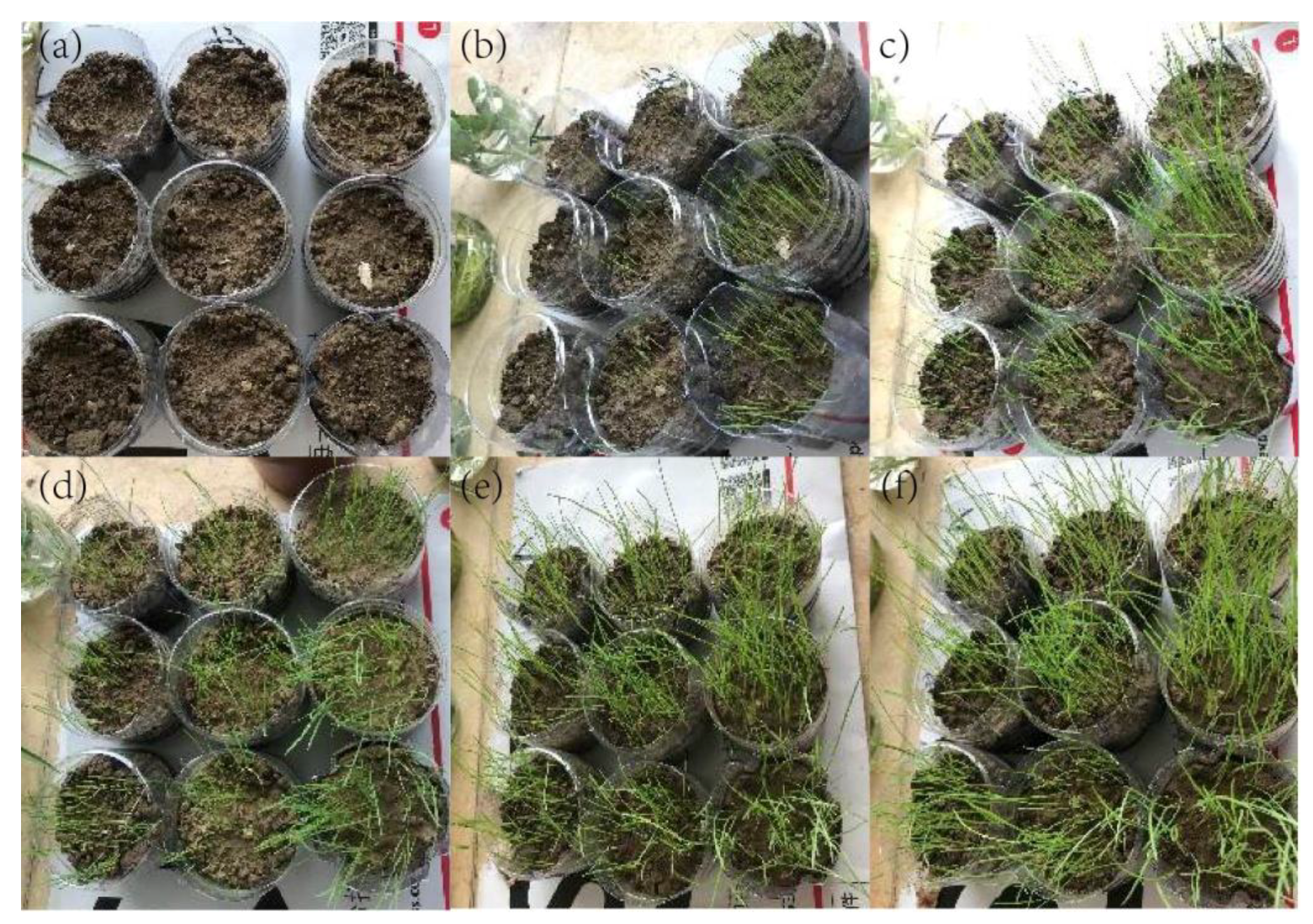 Applsci 11 10466 g006