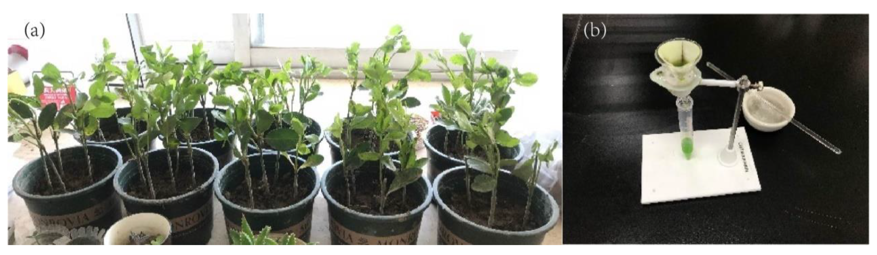 Applsci 11 10466 g008