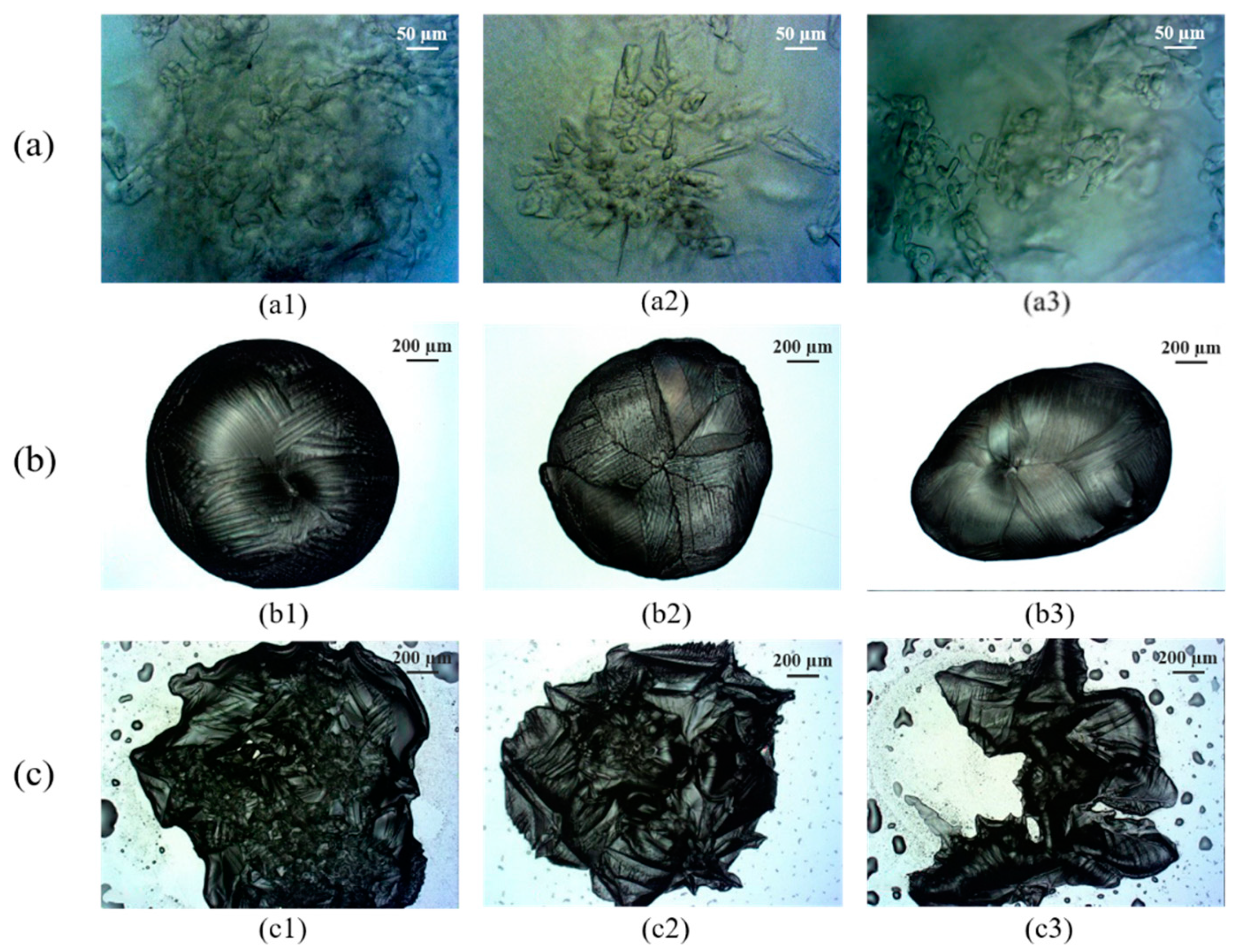 Applsci 11 10470 g004