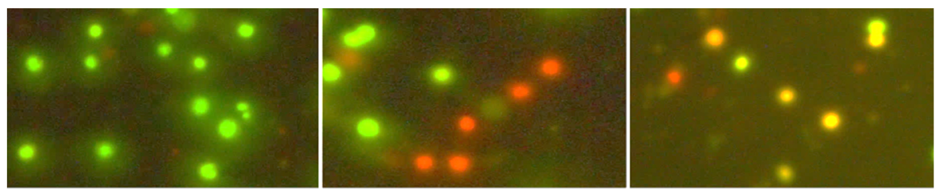 Applsci 11 10478 g001