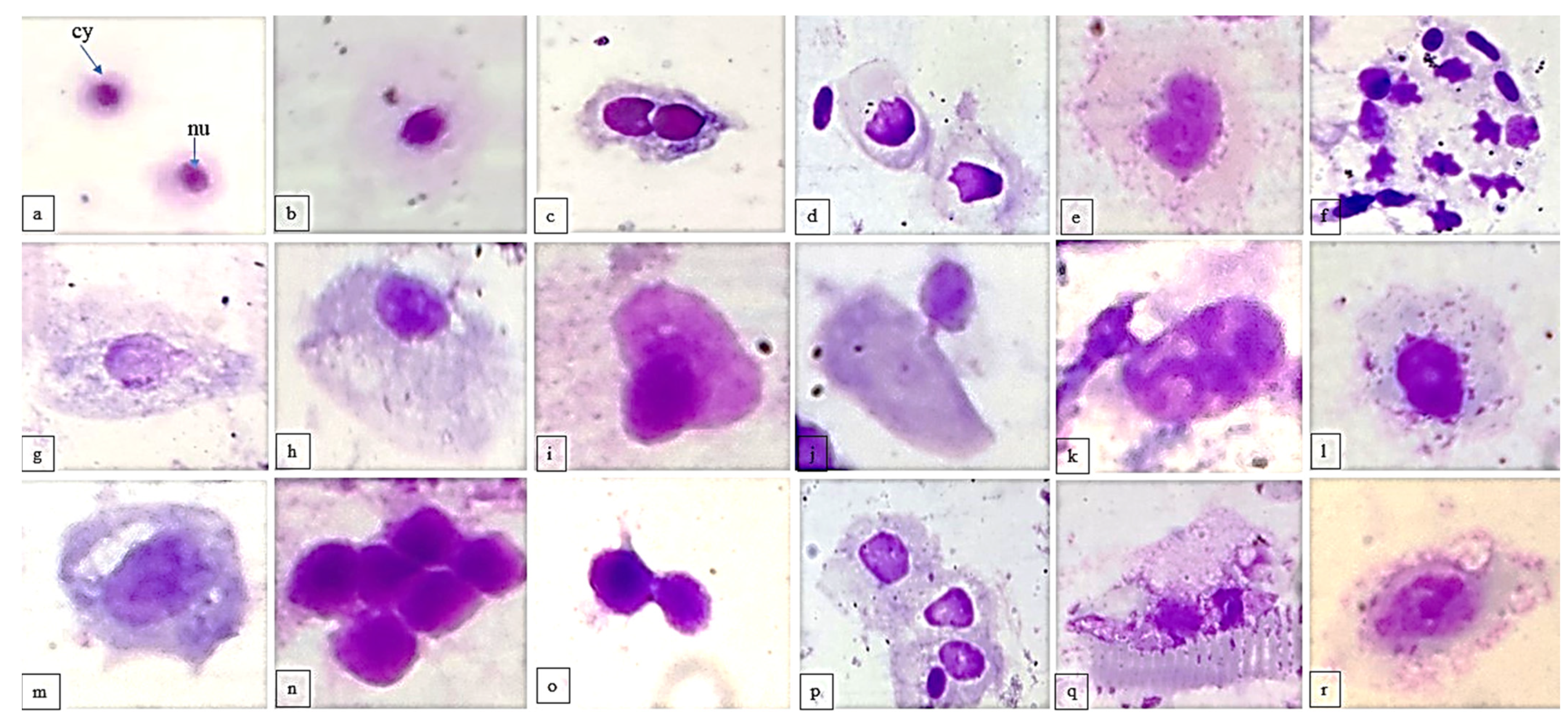 Applsci 11 10478 g002