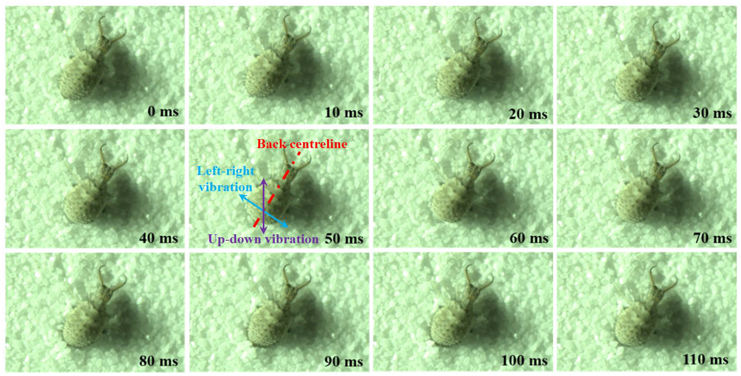 Applsci 11 10480 g002