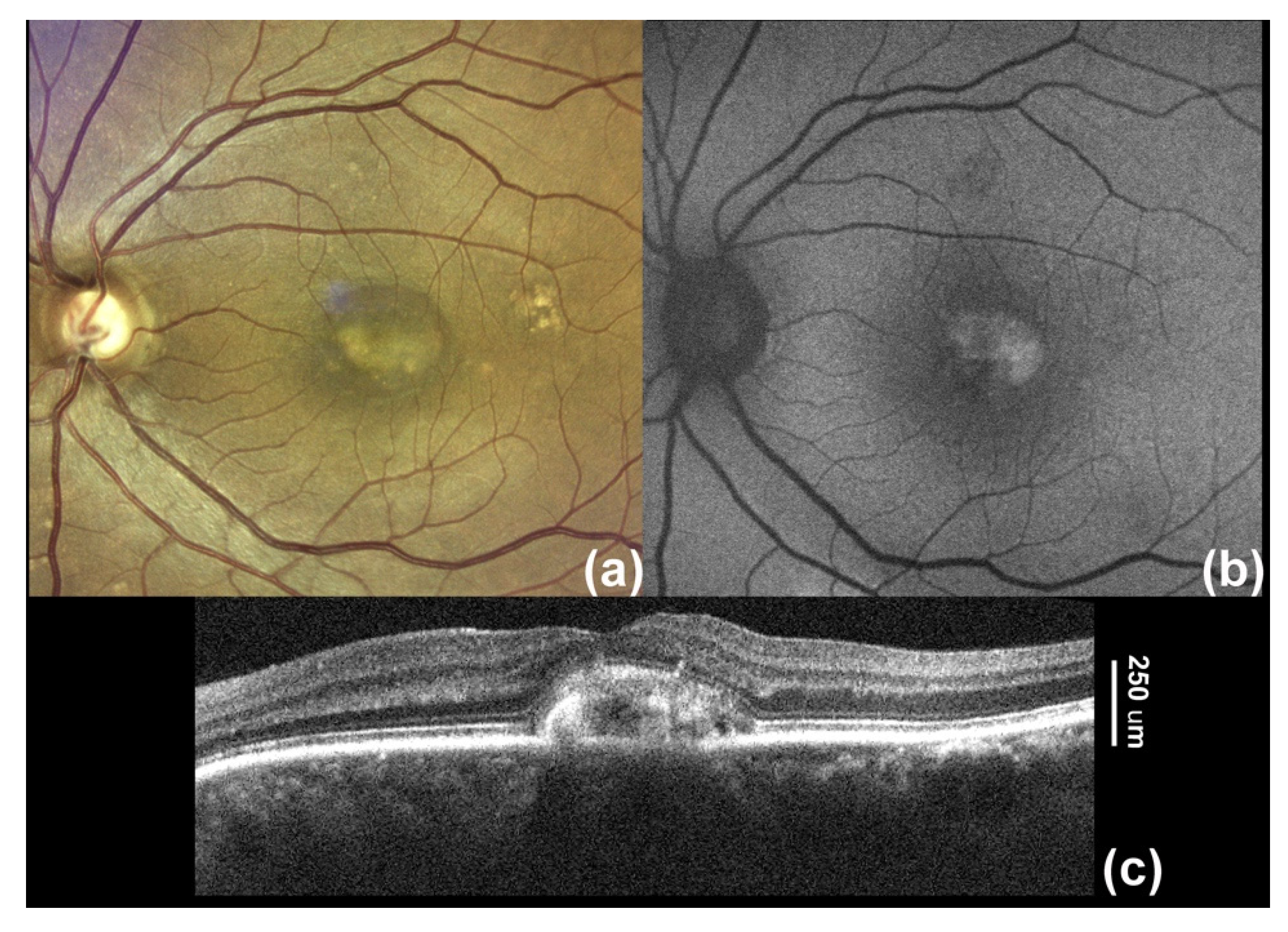 Applsci 11 10487 g001