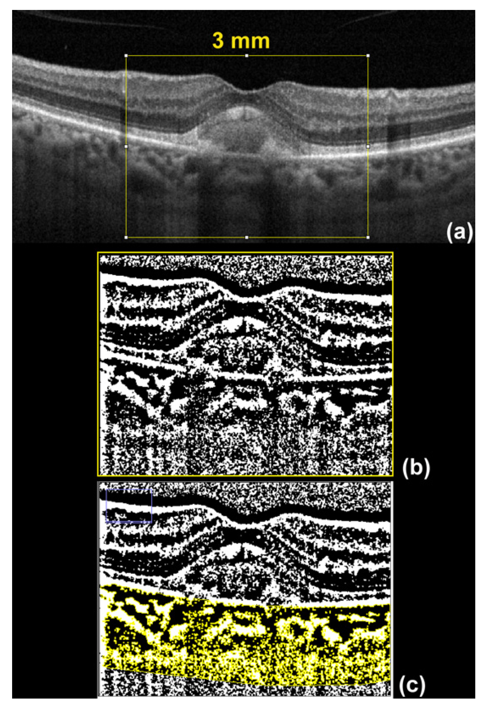 Applsci 11 10487 g002