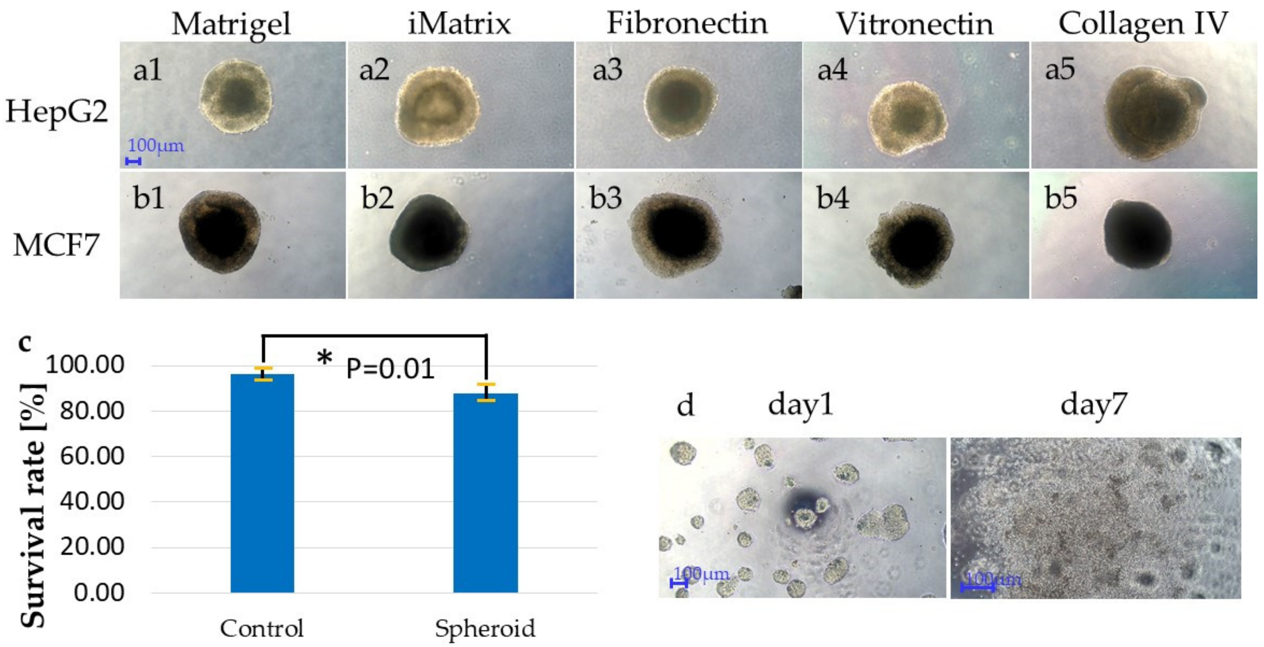 Applsci 11 10495 g004