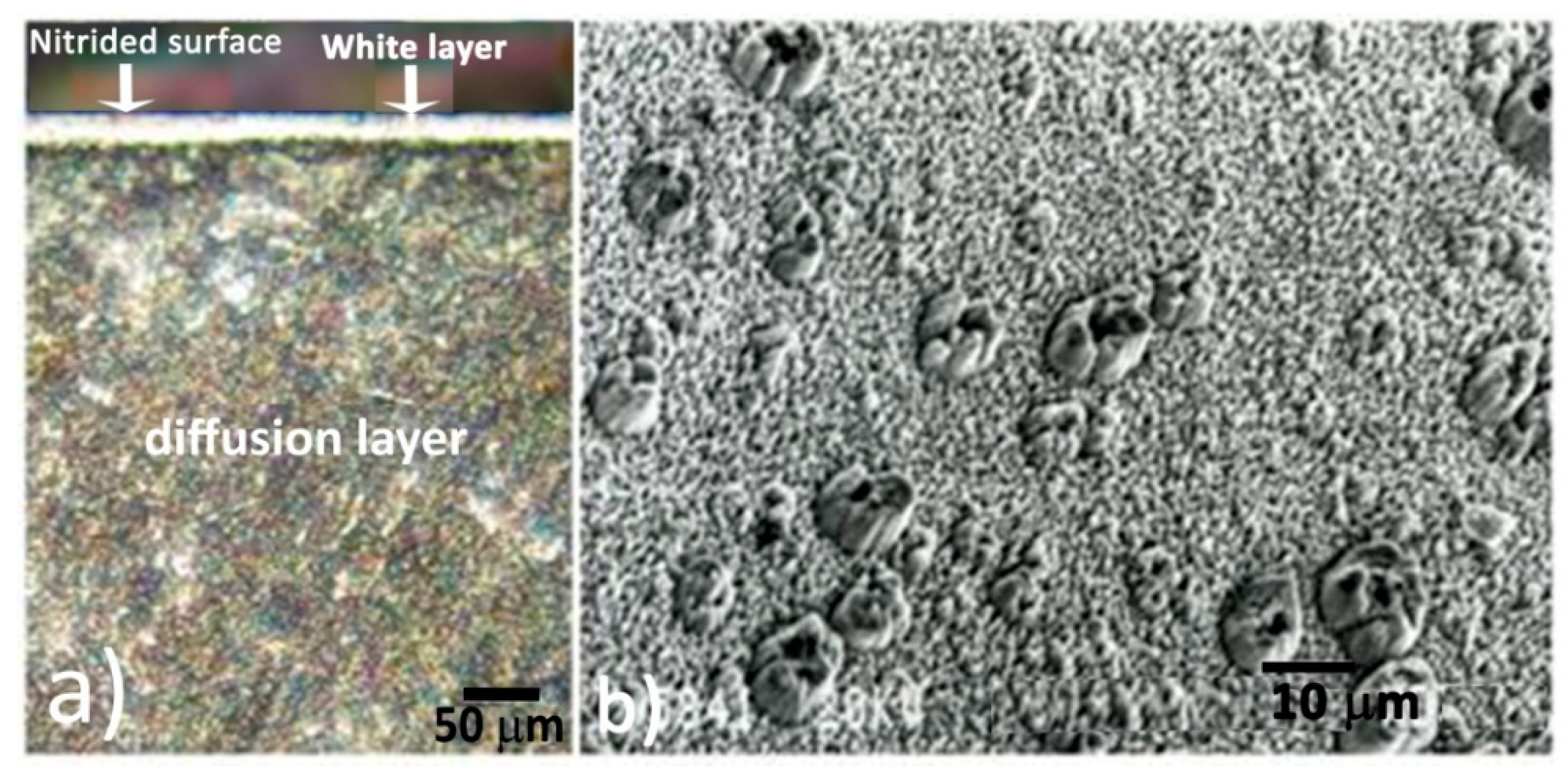 Applsci 11 10499 g002