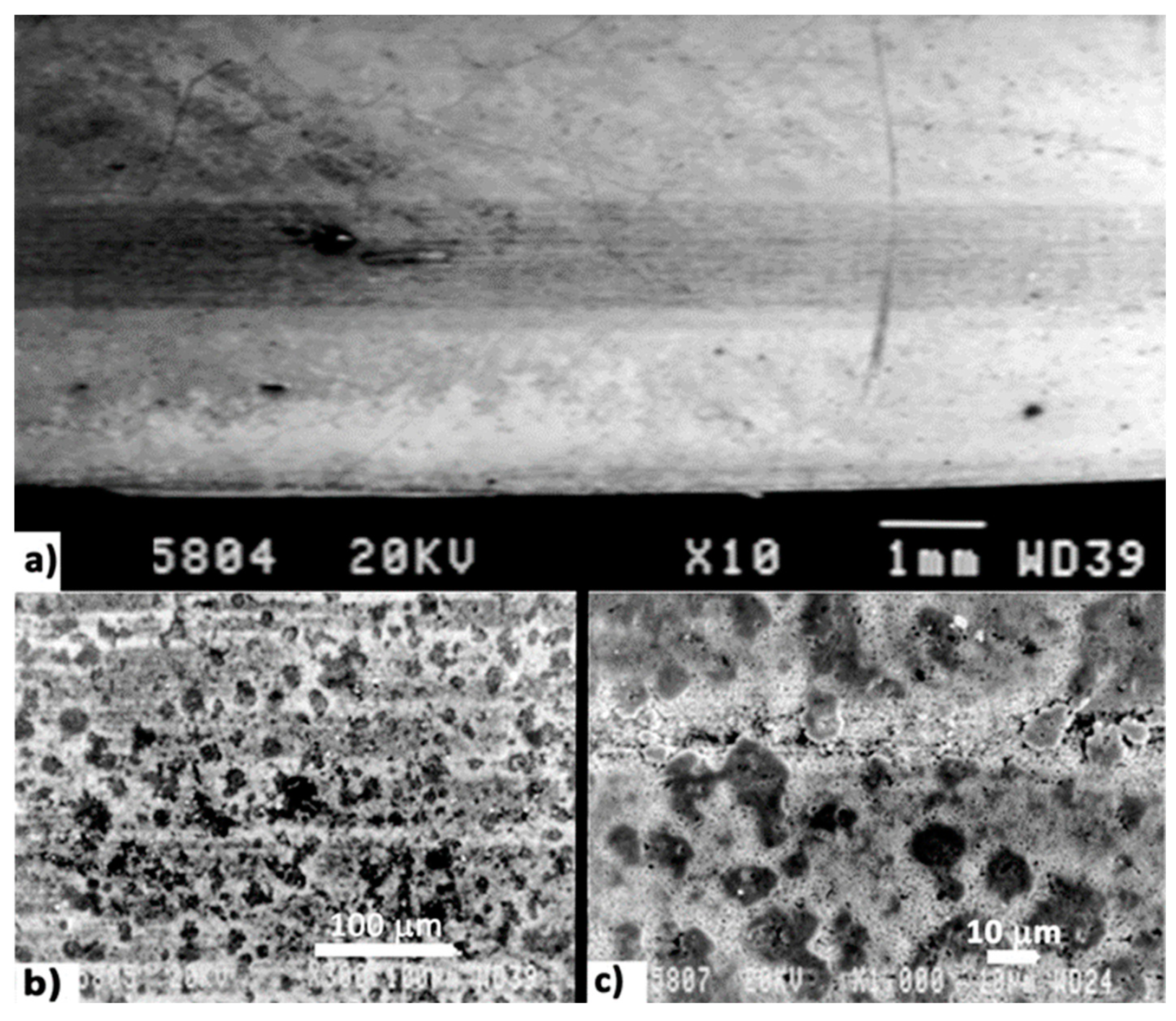 Applsci 11 10499 g007