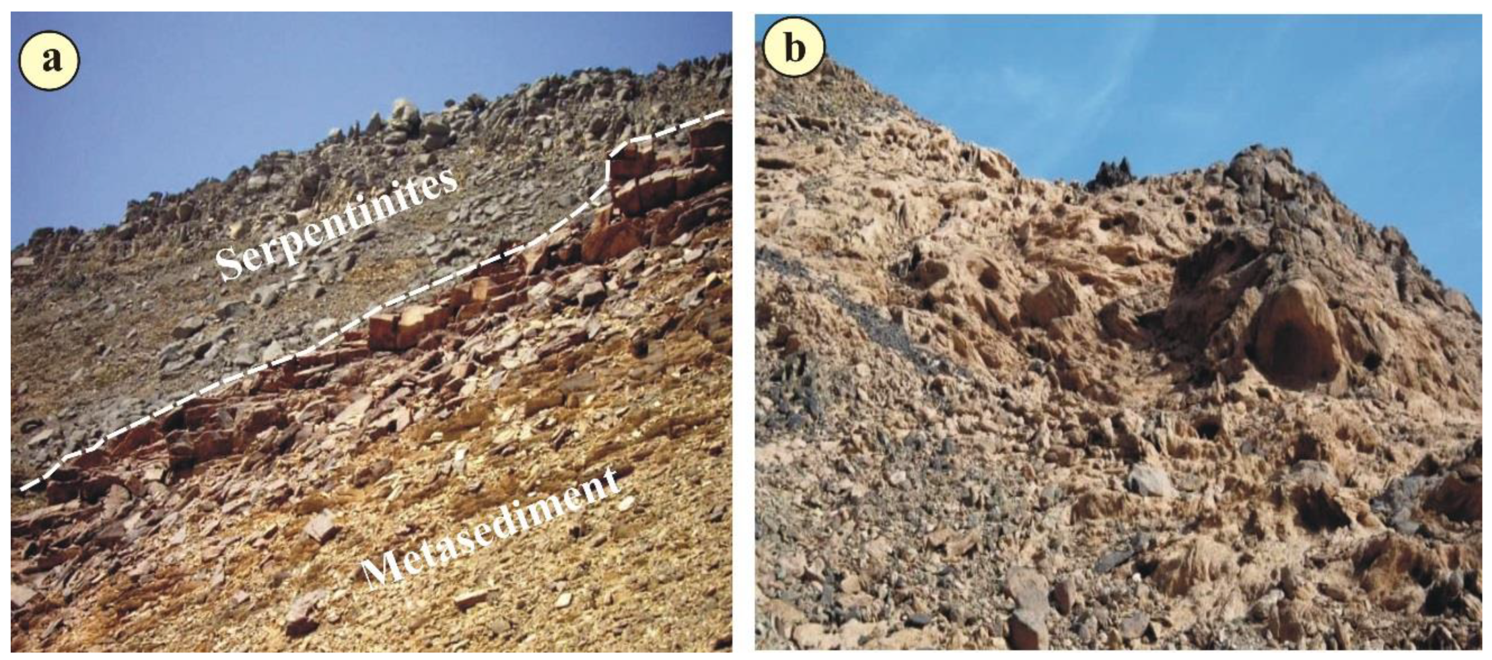 Applsci 11 10524 g002