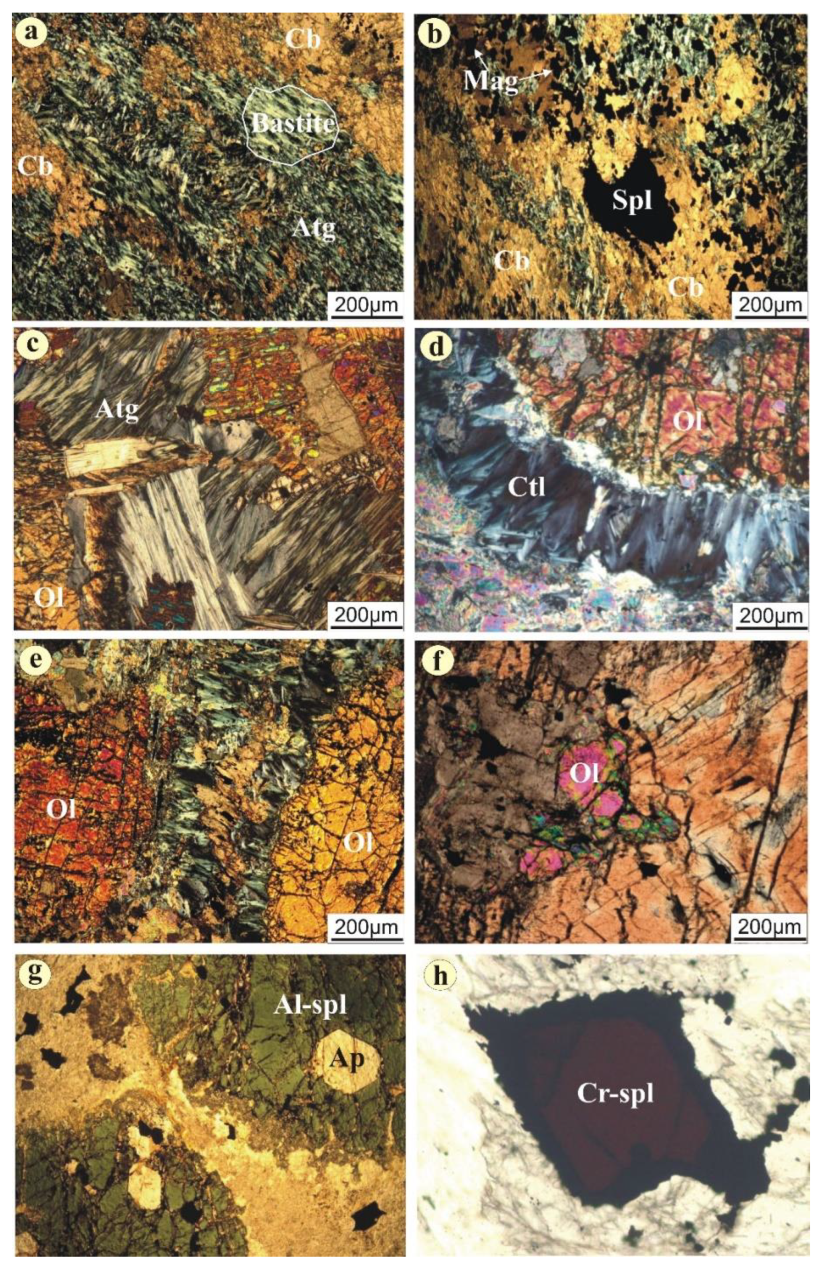 Applsci 11 10524 g003