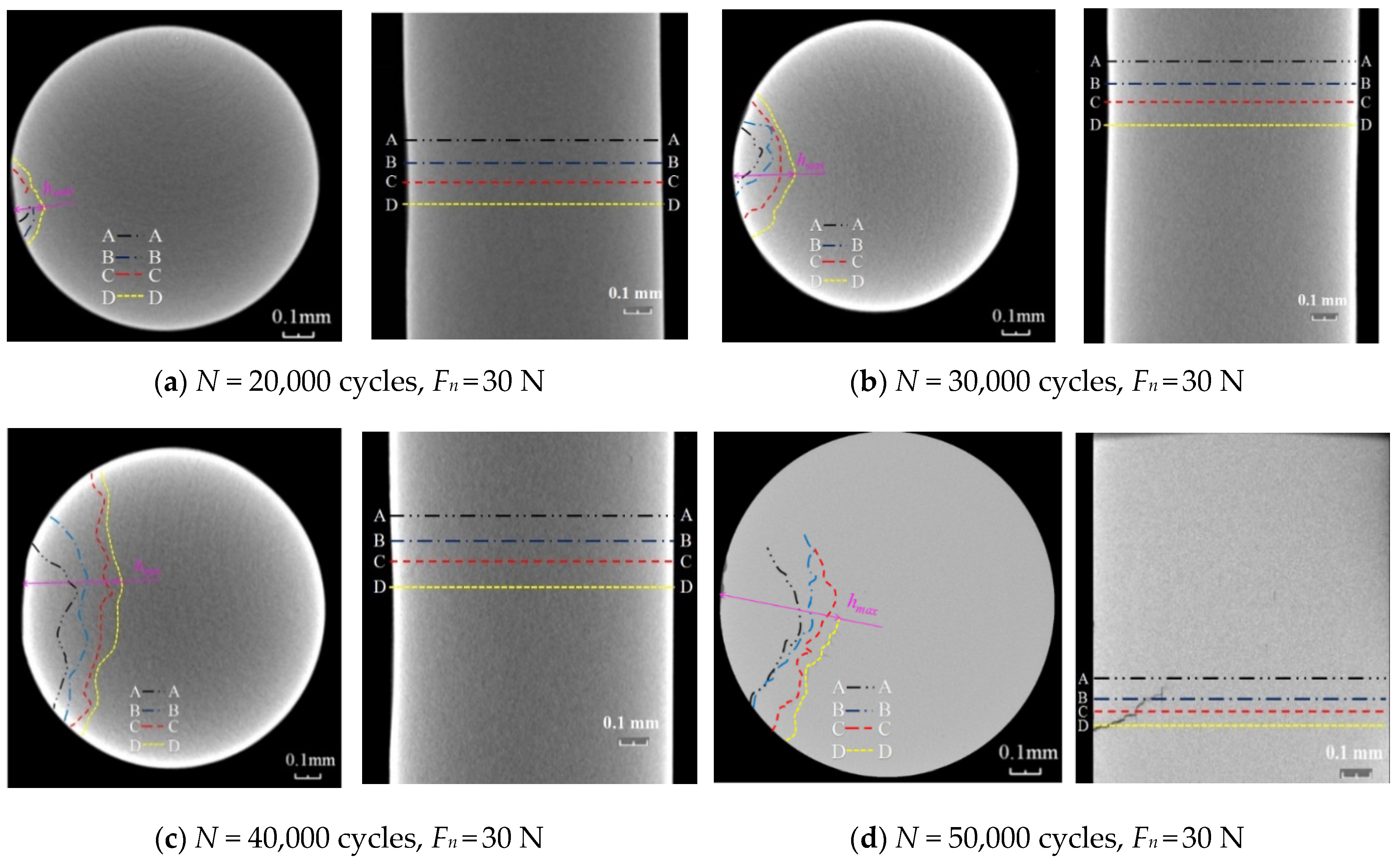 Applsci 11 10529 g002a