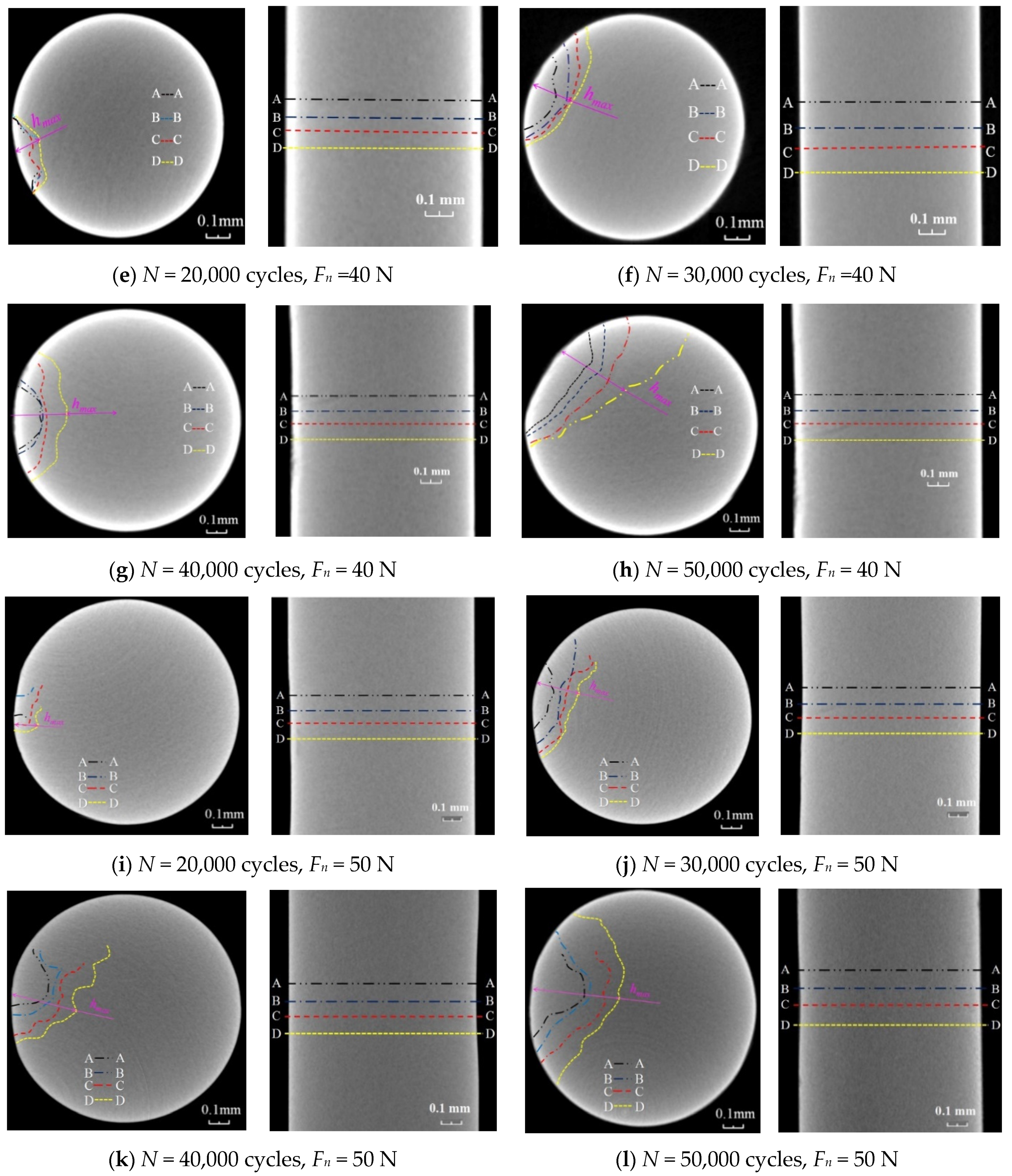 Applsci 11 10529 g002b