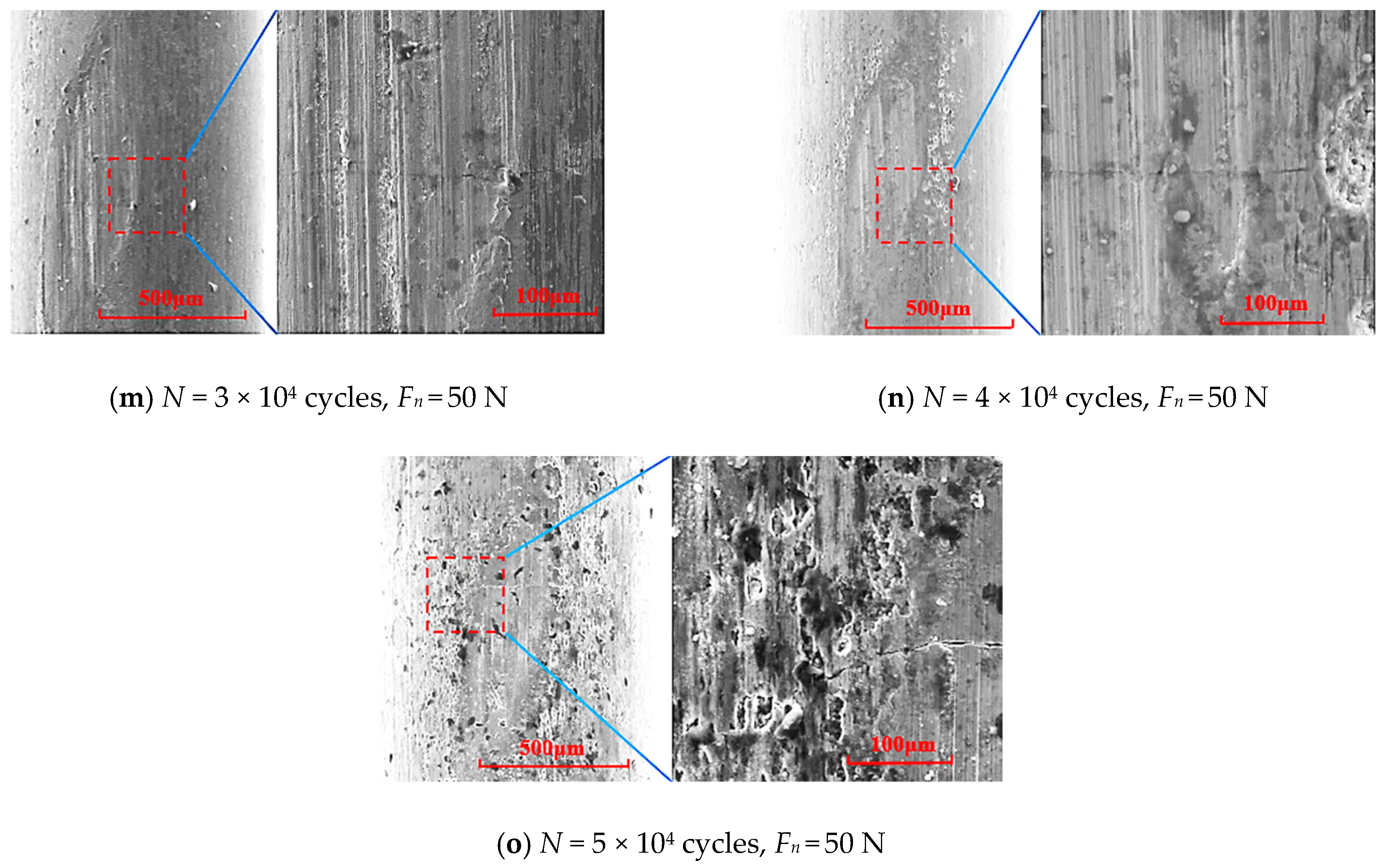 Applsci 11 10529 g008c