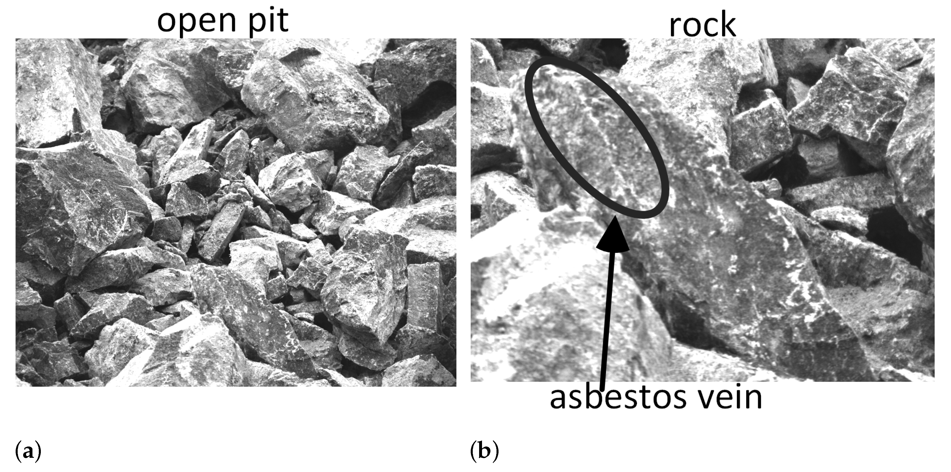 Applsci 11 10532 g001 Applsci 11 10532 g001