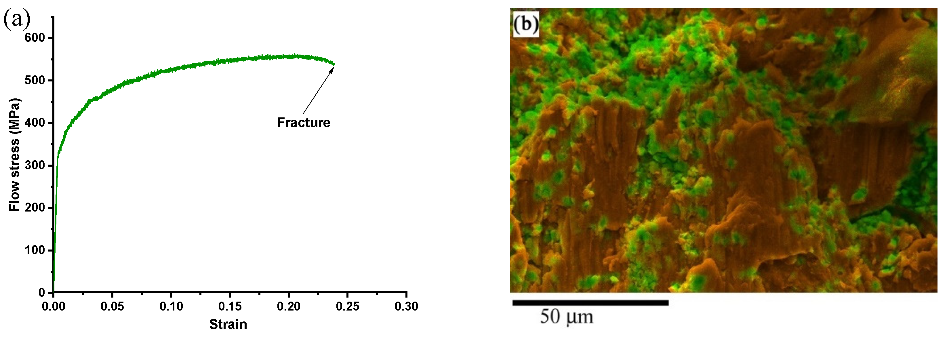 Applsci 11 10590 g005