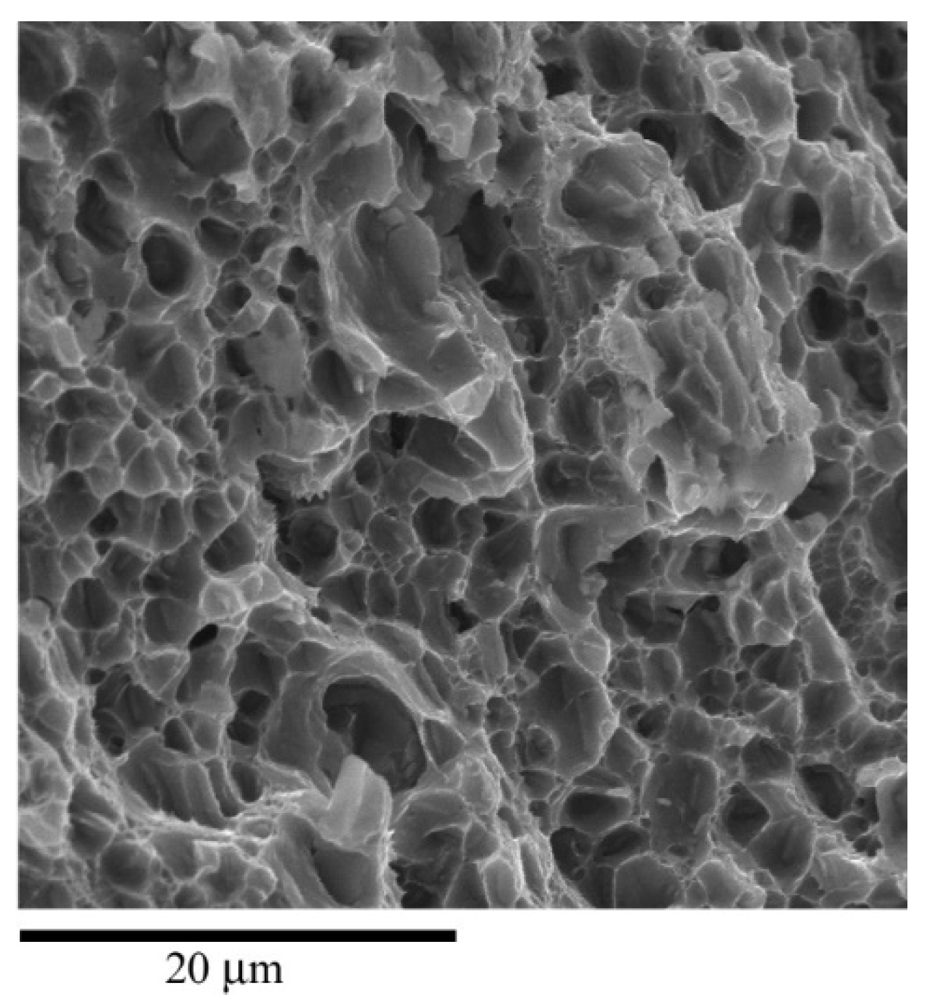 Applsci 11 10590 g007