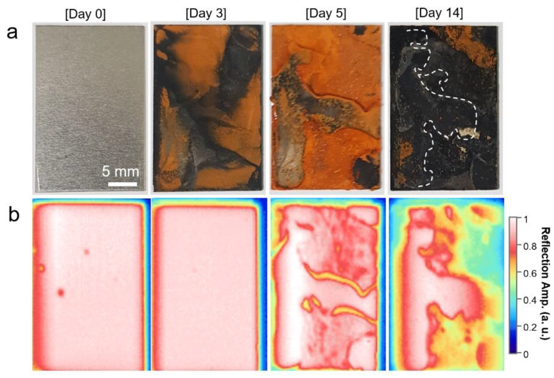 Applsci 11 10594 g004