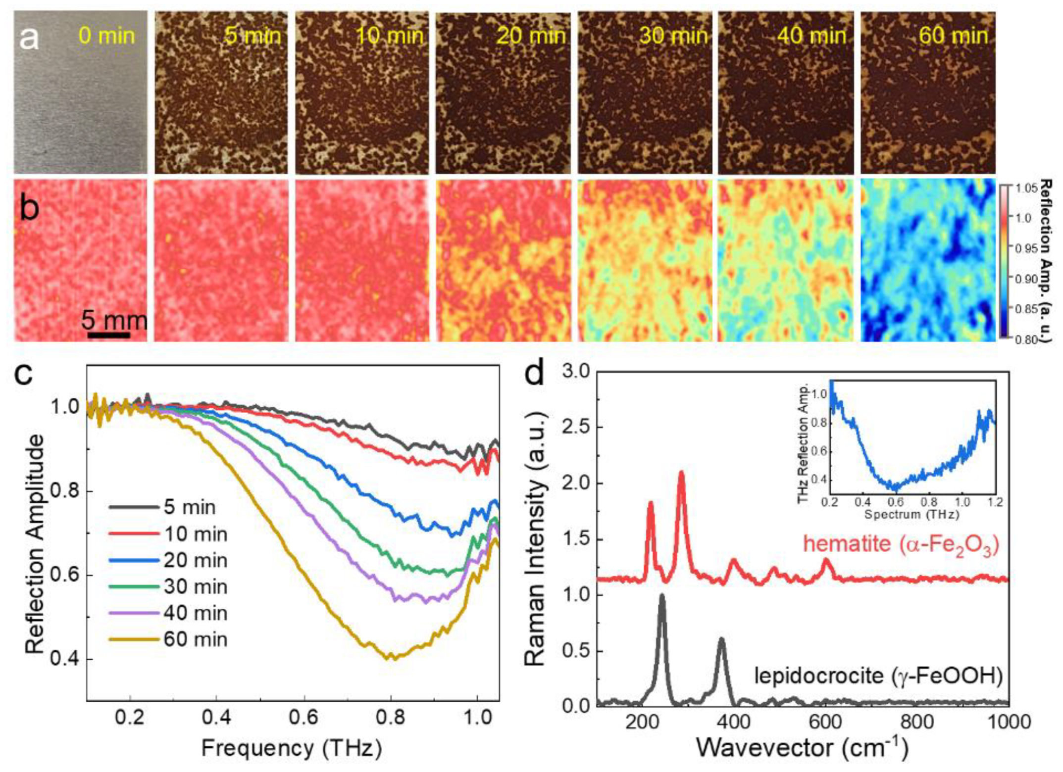 Applsci 11 10594 g005