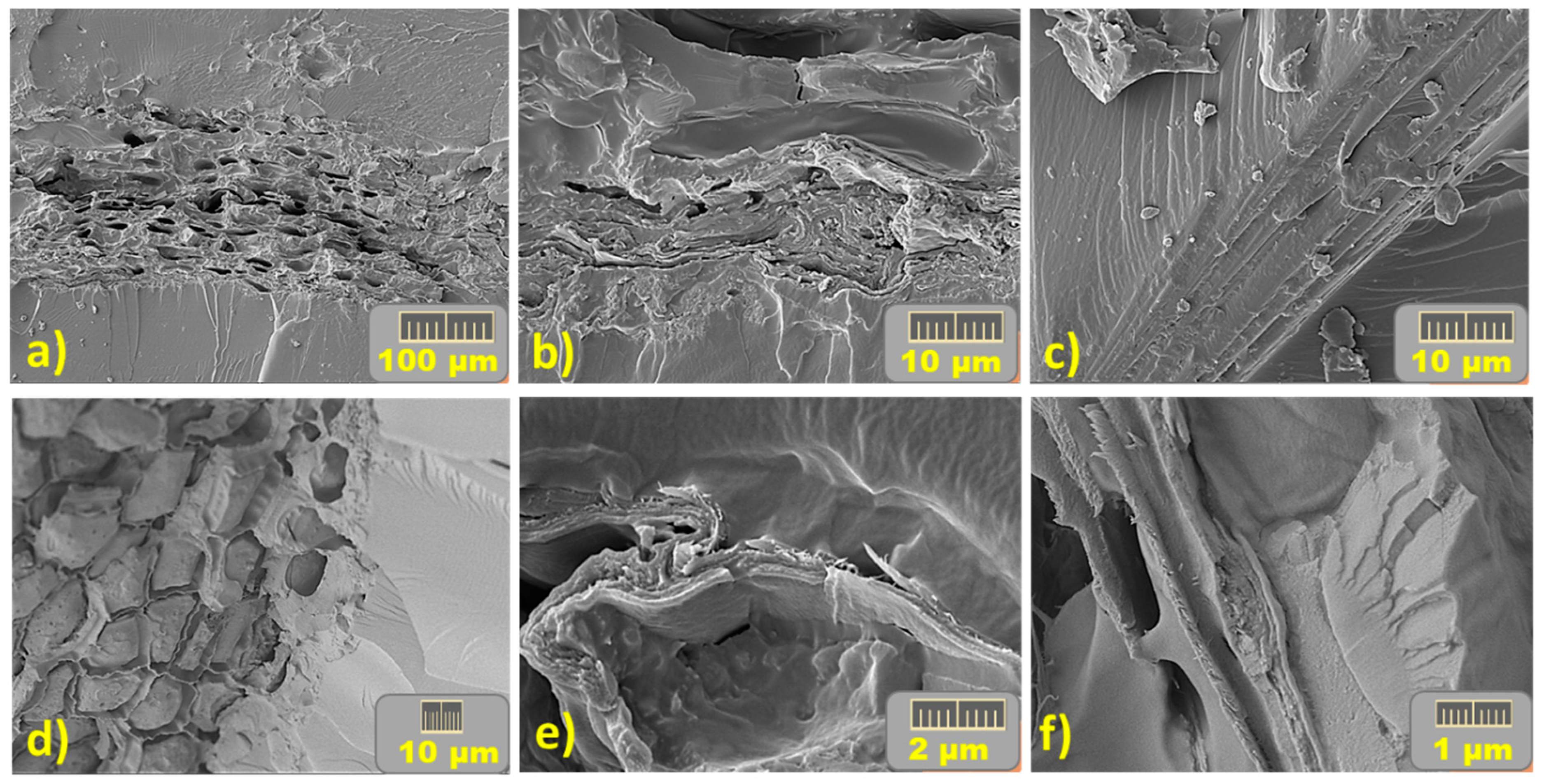 Applsci 11 10649 g010