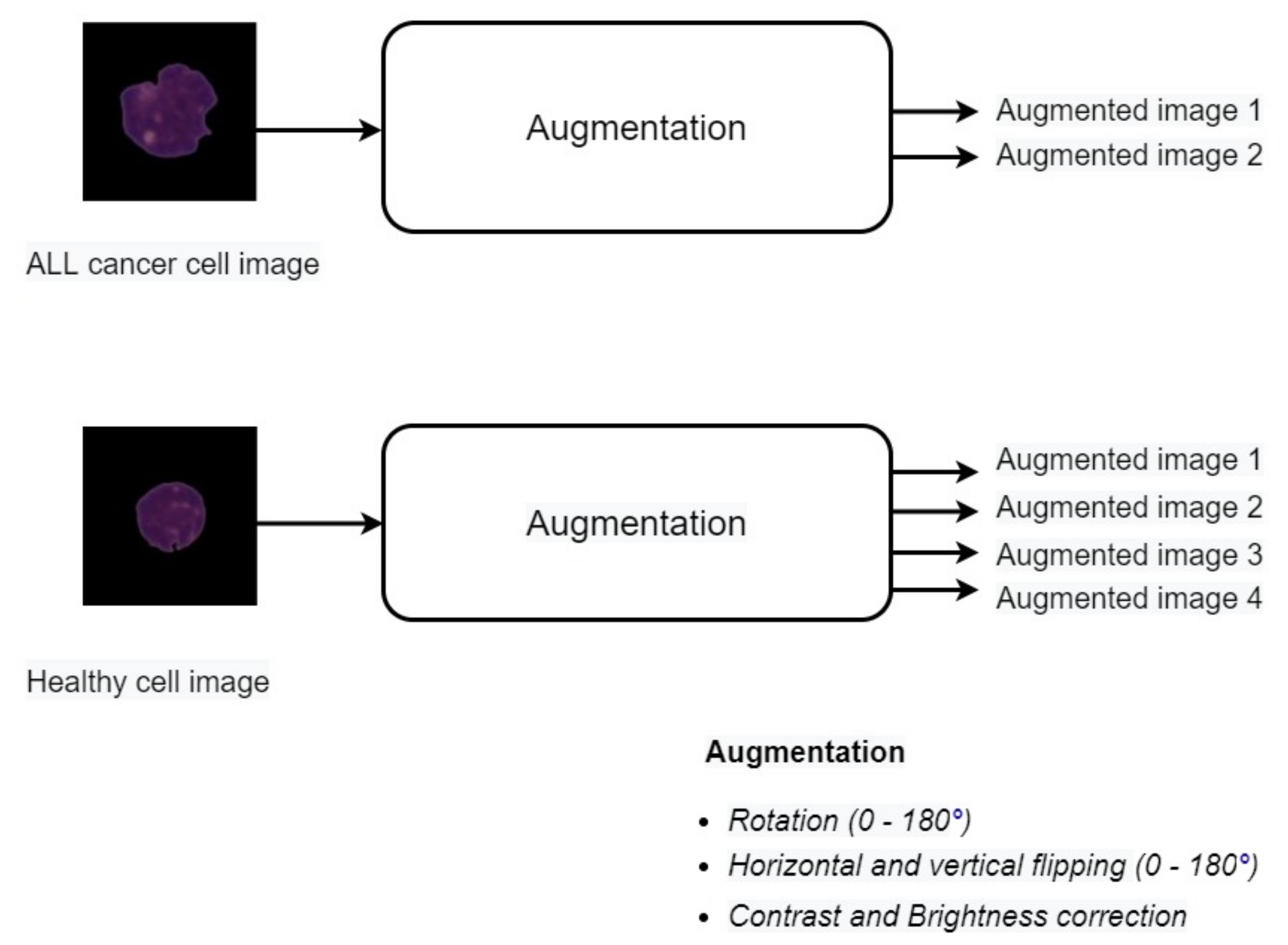 Applsci 11 10662 g002