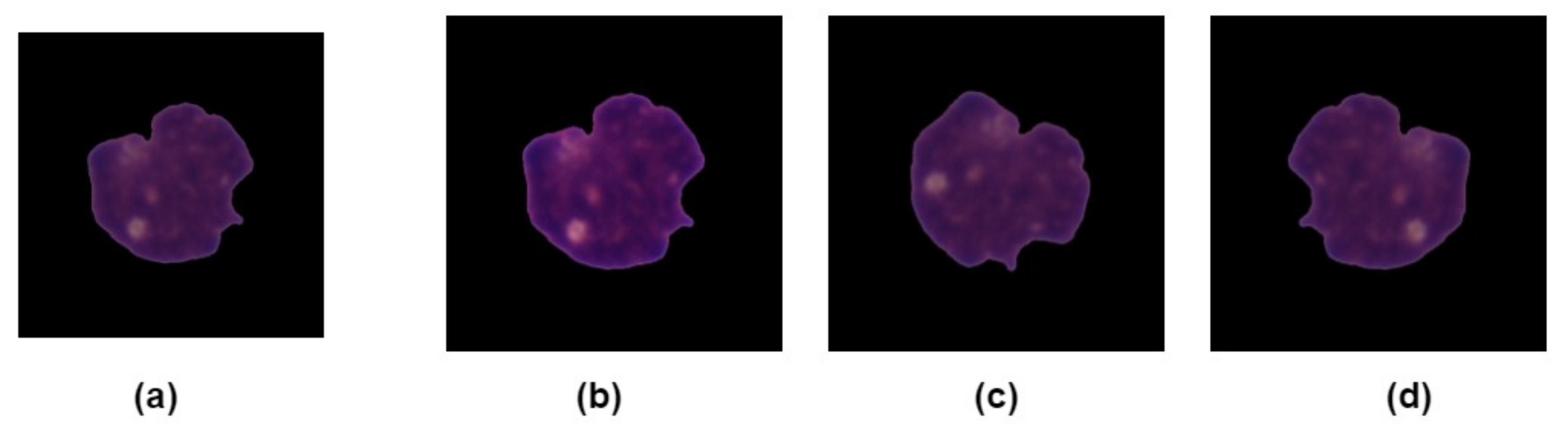 Applsci 11 10662 g003