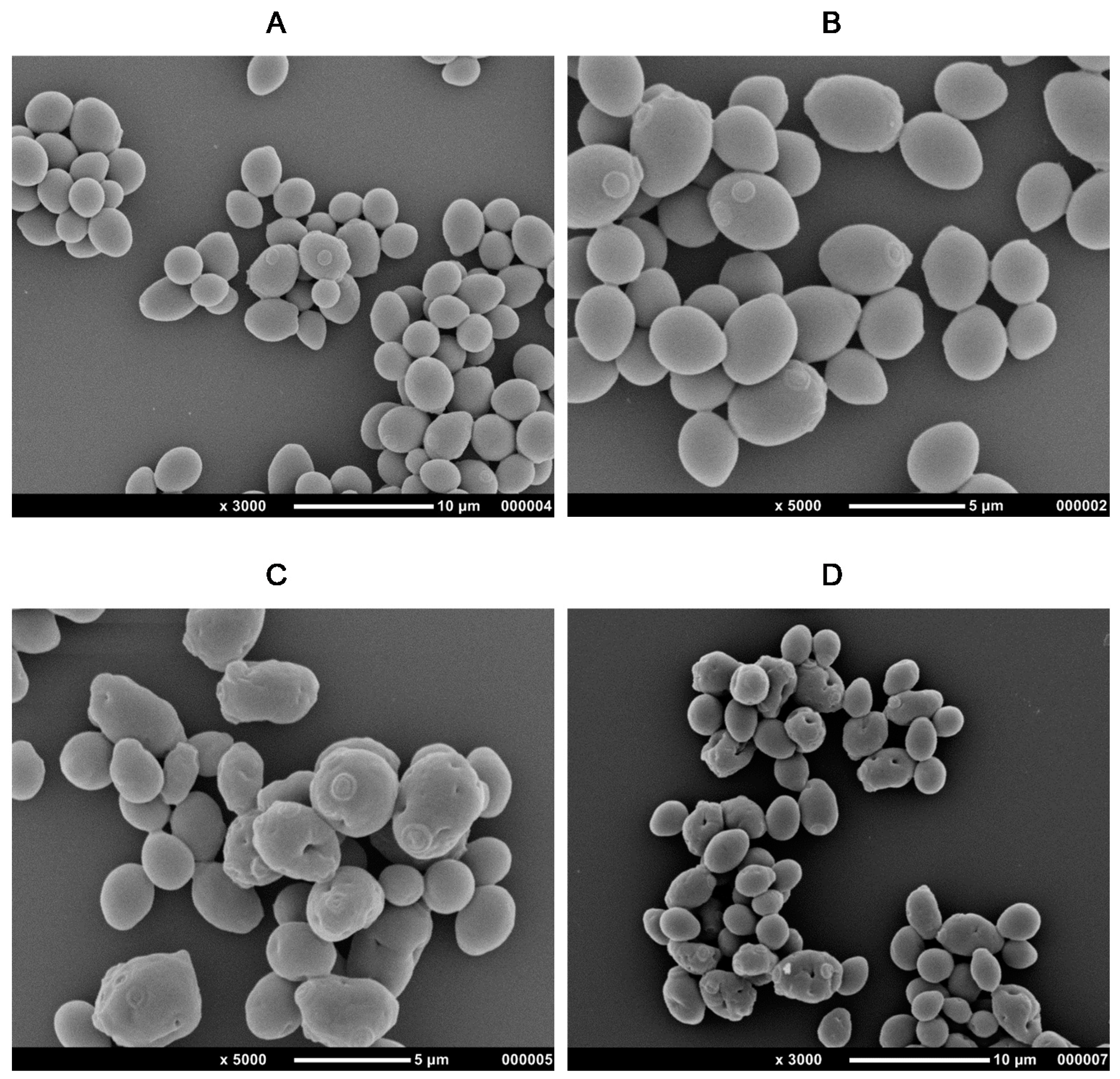 Applsci 11 10670 g005