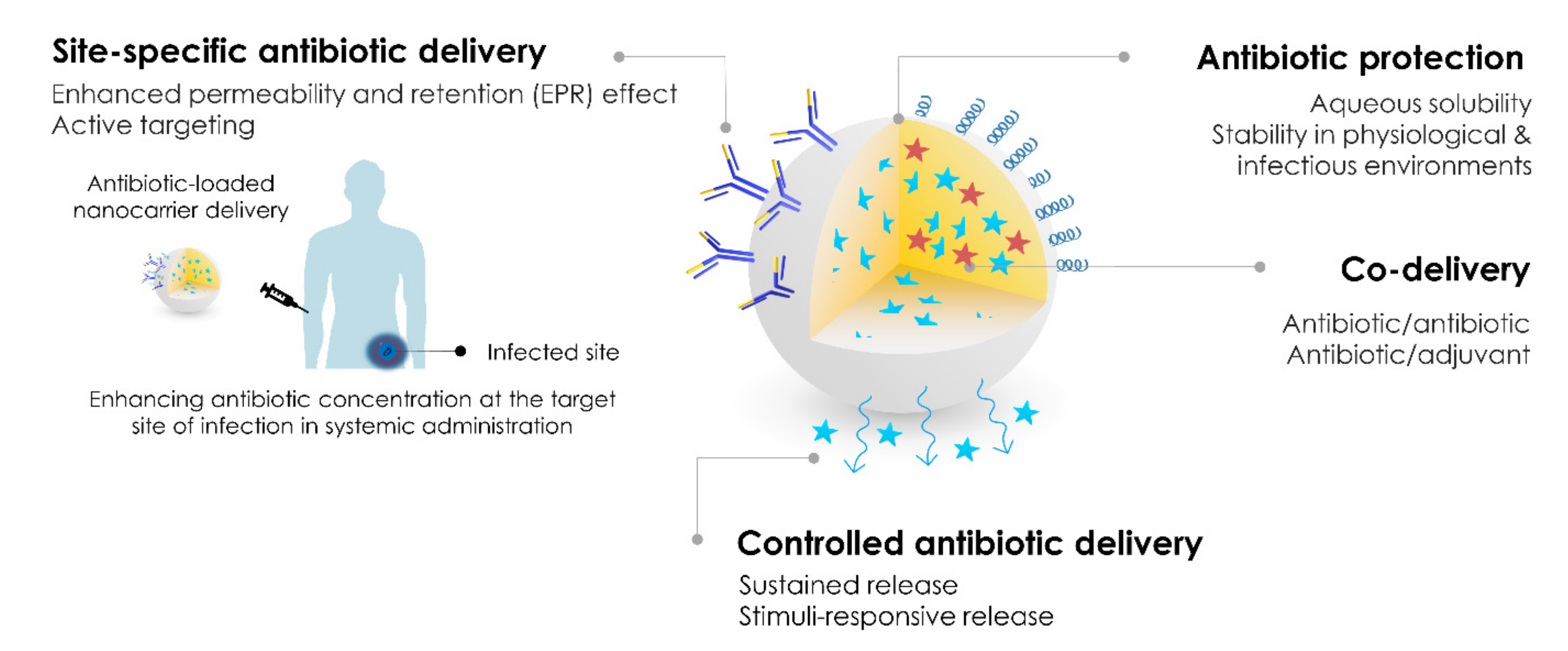 Applsci 11 10695 g001